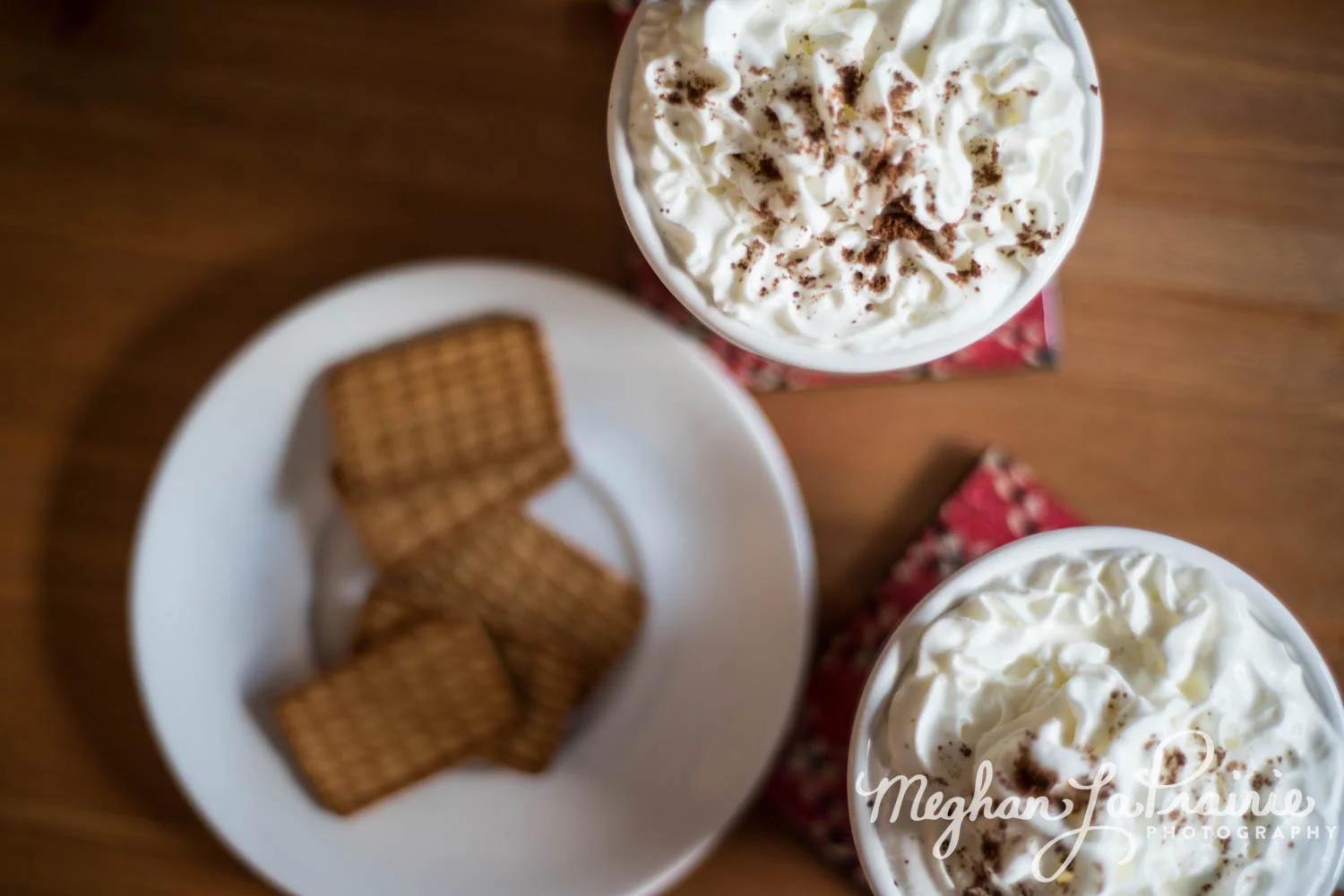 Meghan LaPrairie Photography_Product-39-1.JPG