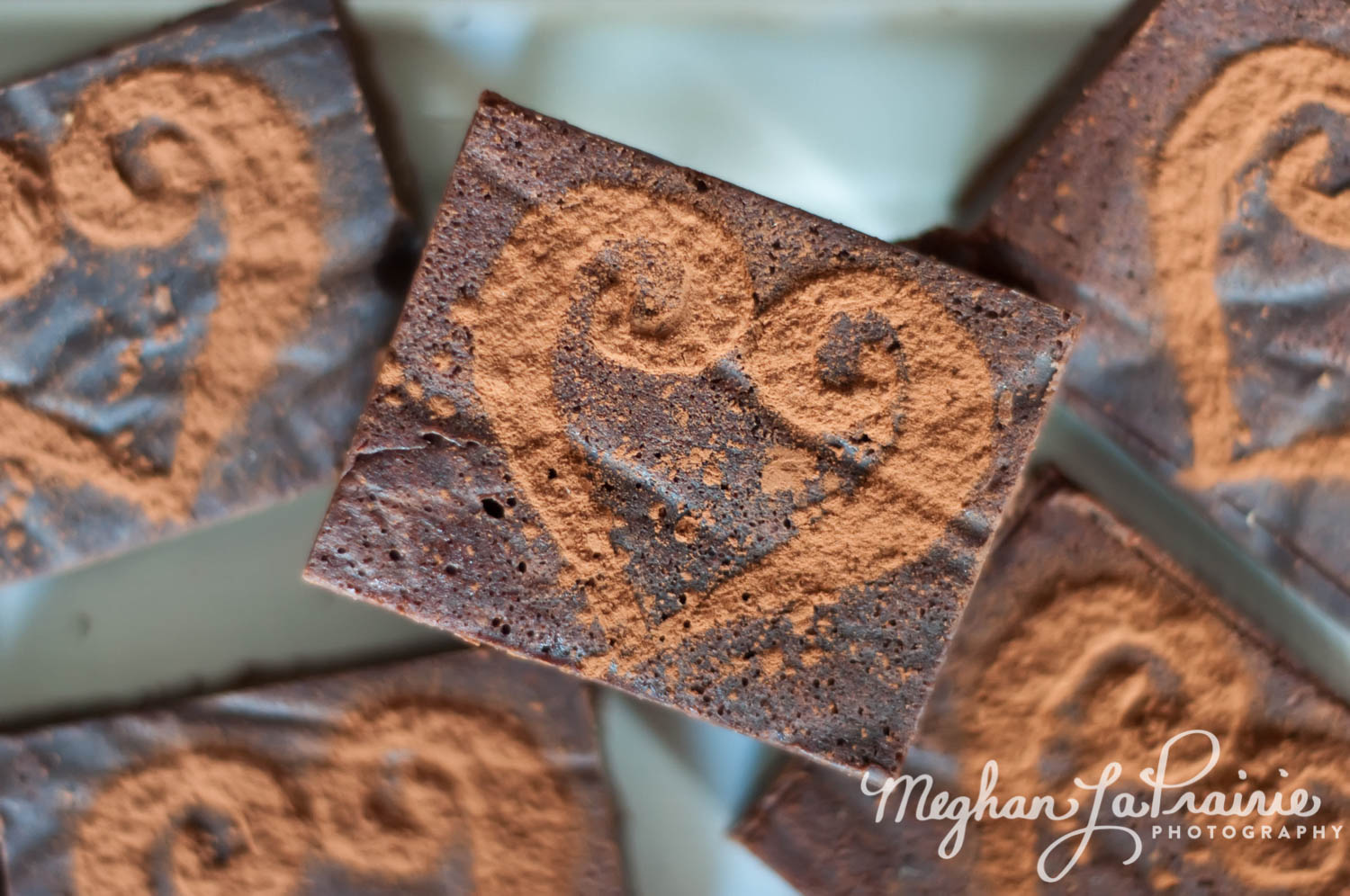 Meghan LaPrairie Photography_Product-24-1.JPG