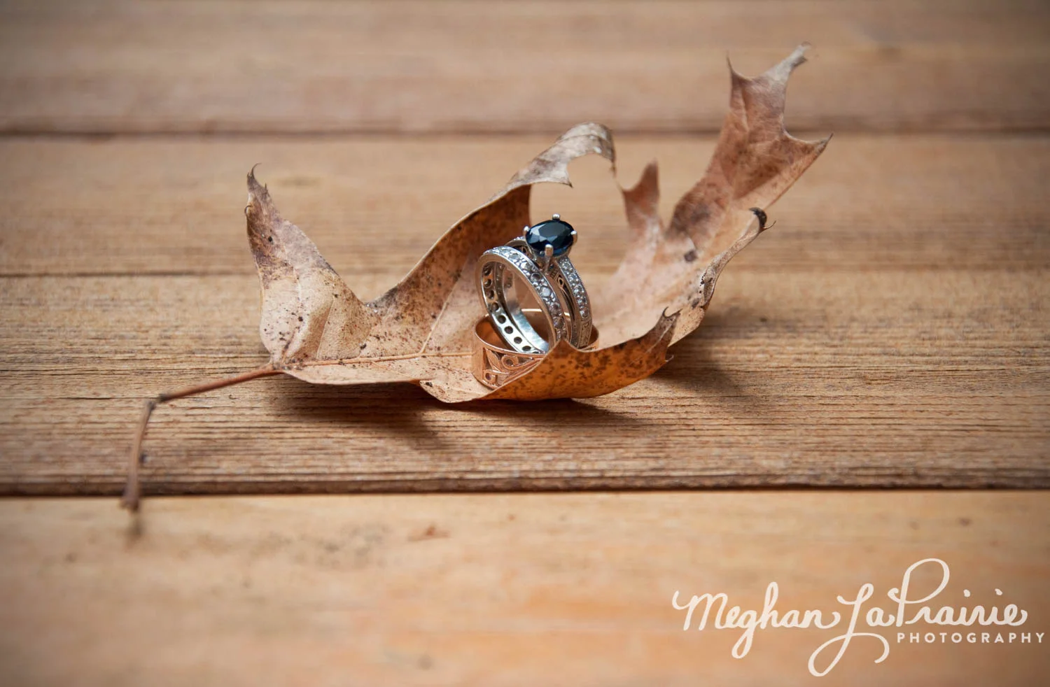 Meghan LaPrairie Photography_Wedding-9-1.JPG