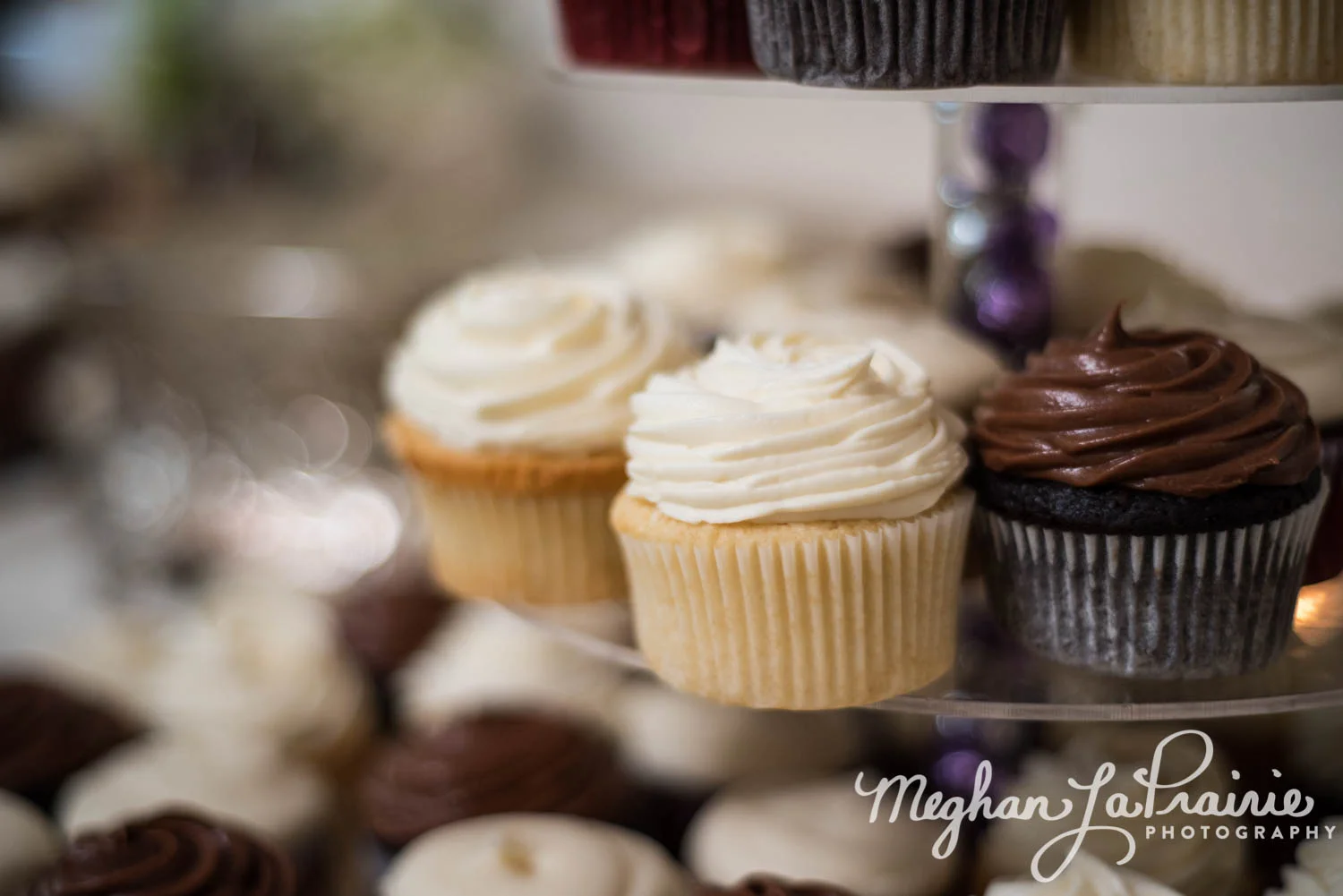 Meghan LaPrairie Photography_Wedding-67-1.JPG