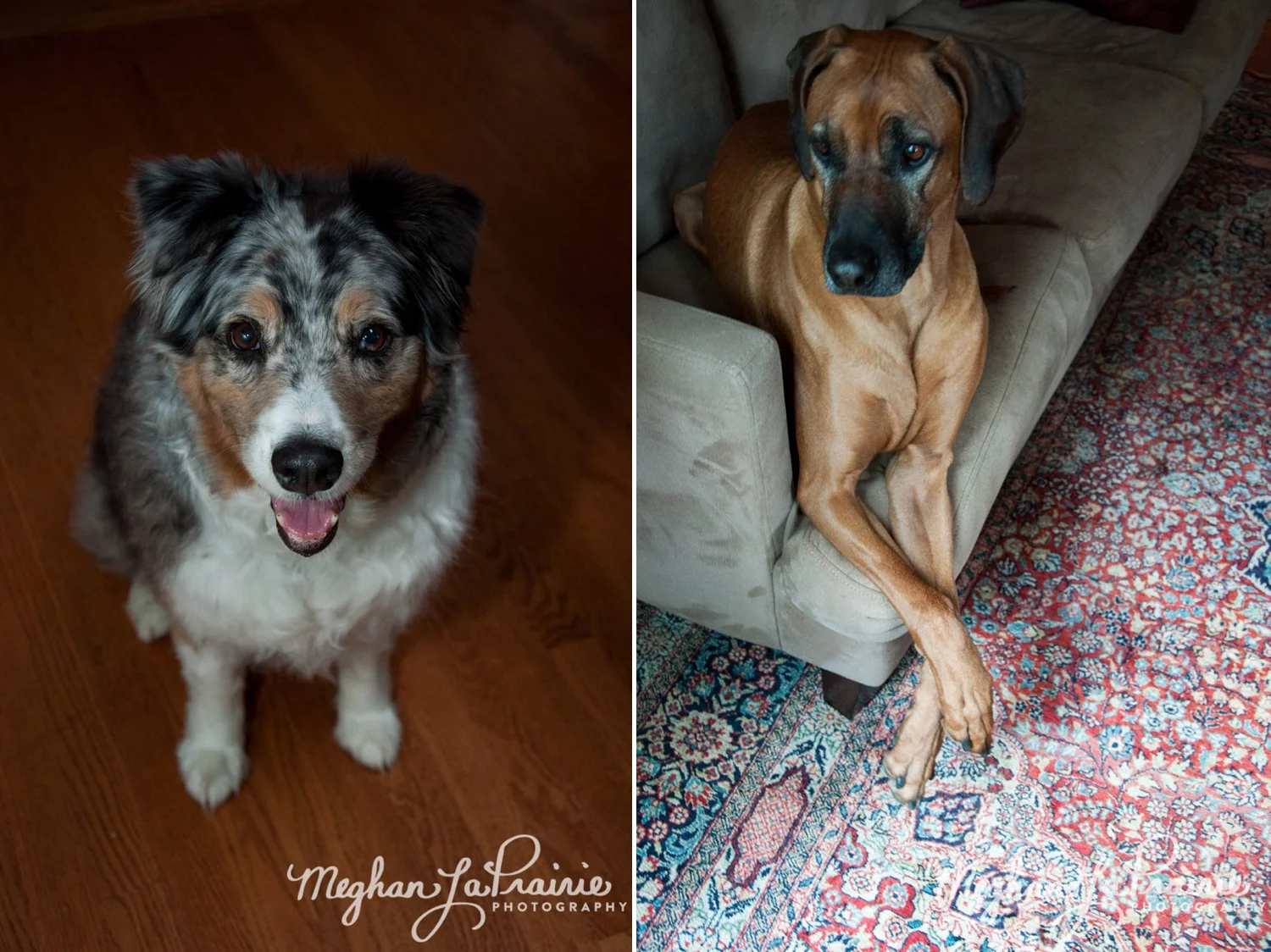 Meghan LaPrairie Photography_Family-23-1.JPG