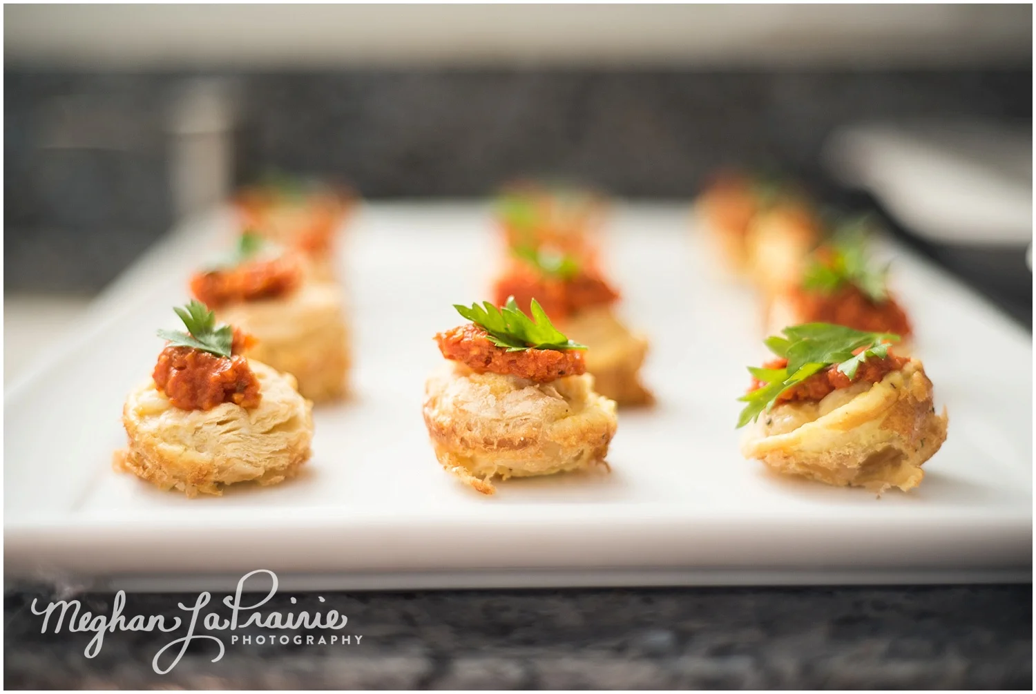 MeghanLaPrairiePhotography_Event_38.jpg