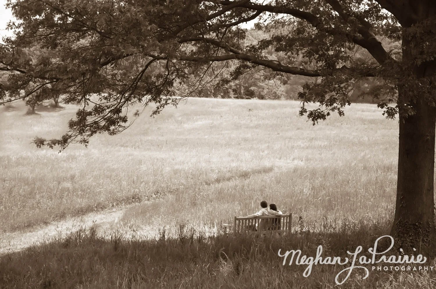 Engagement Photos