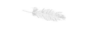 feather.png