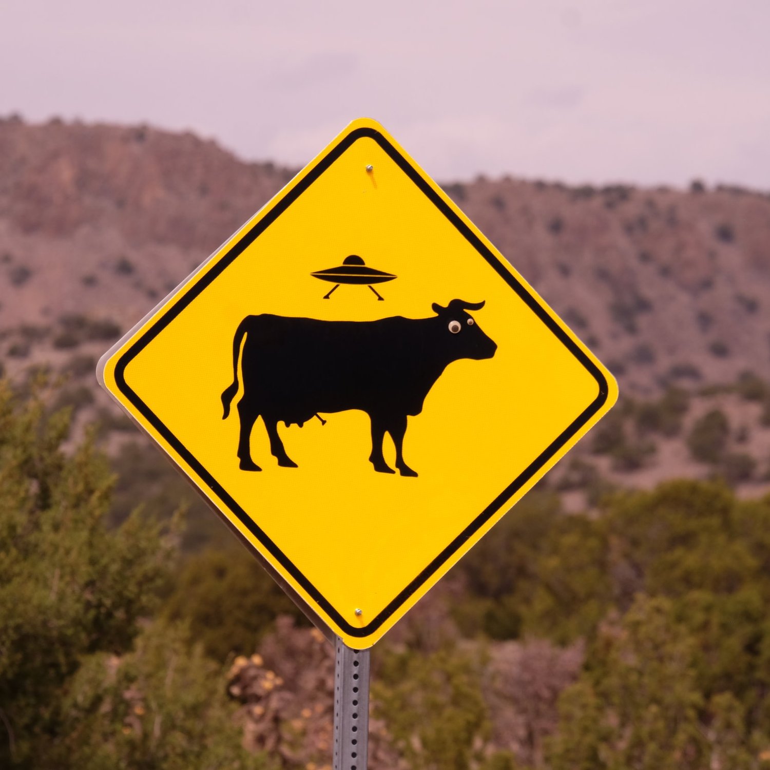 "Boomers are ruining television"