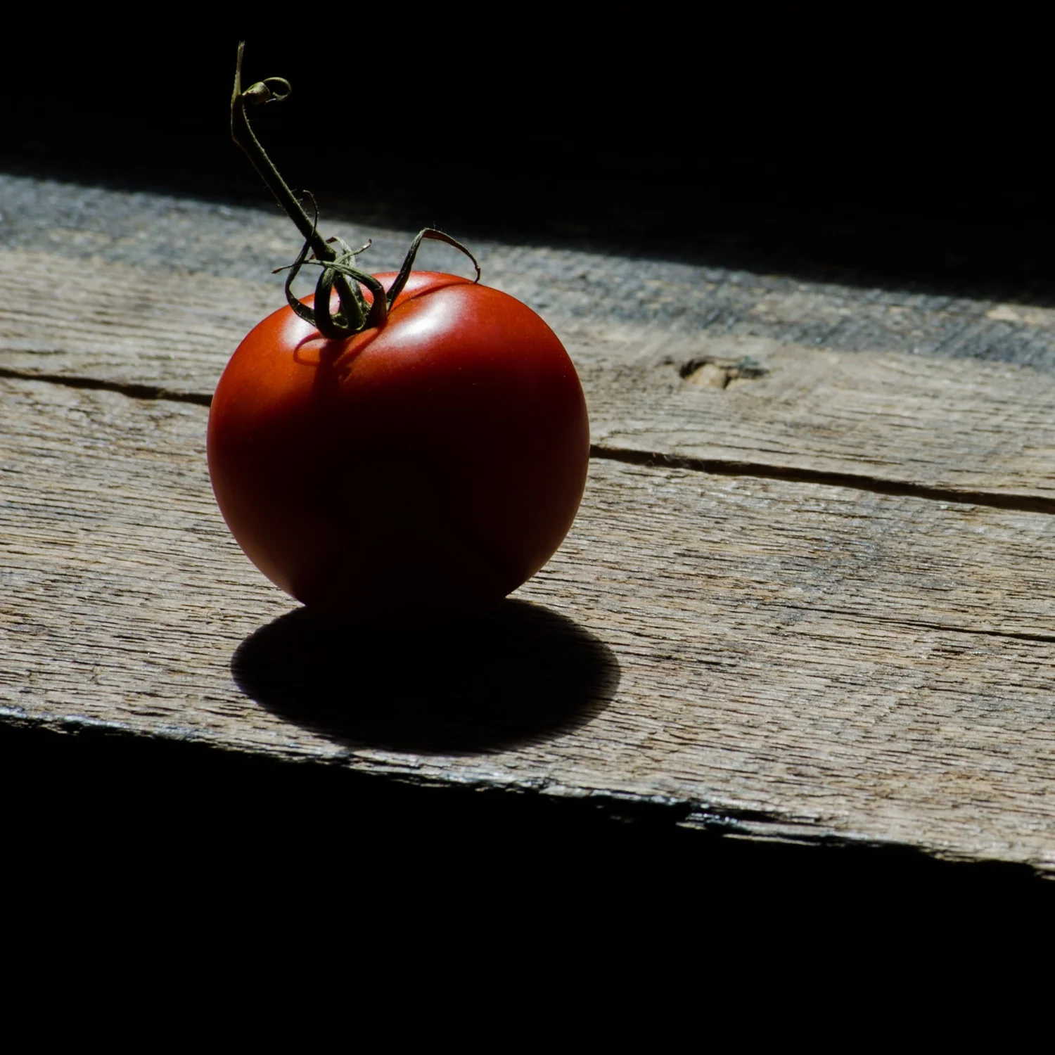 “Murder alibi tomatoes”