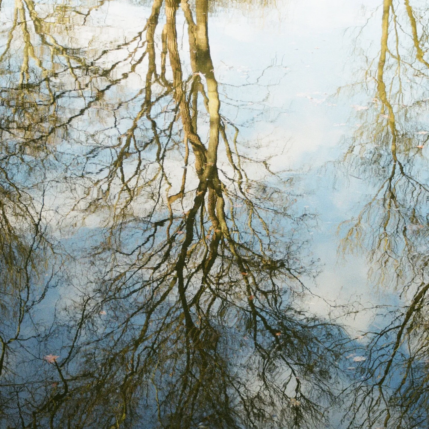 "The entire world is upside down"