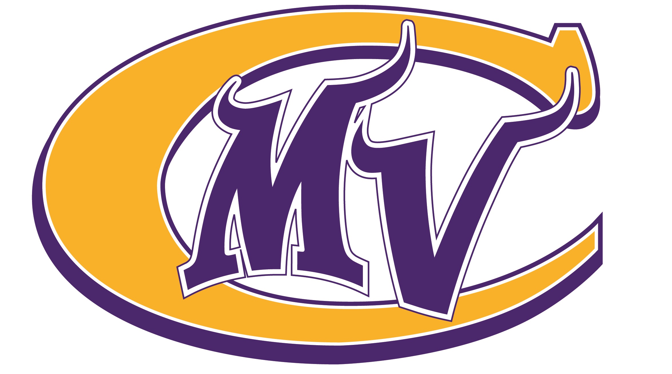 vikings cheerleader logo to use.jpg