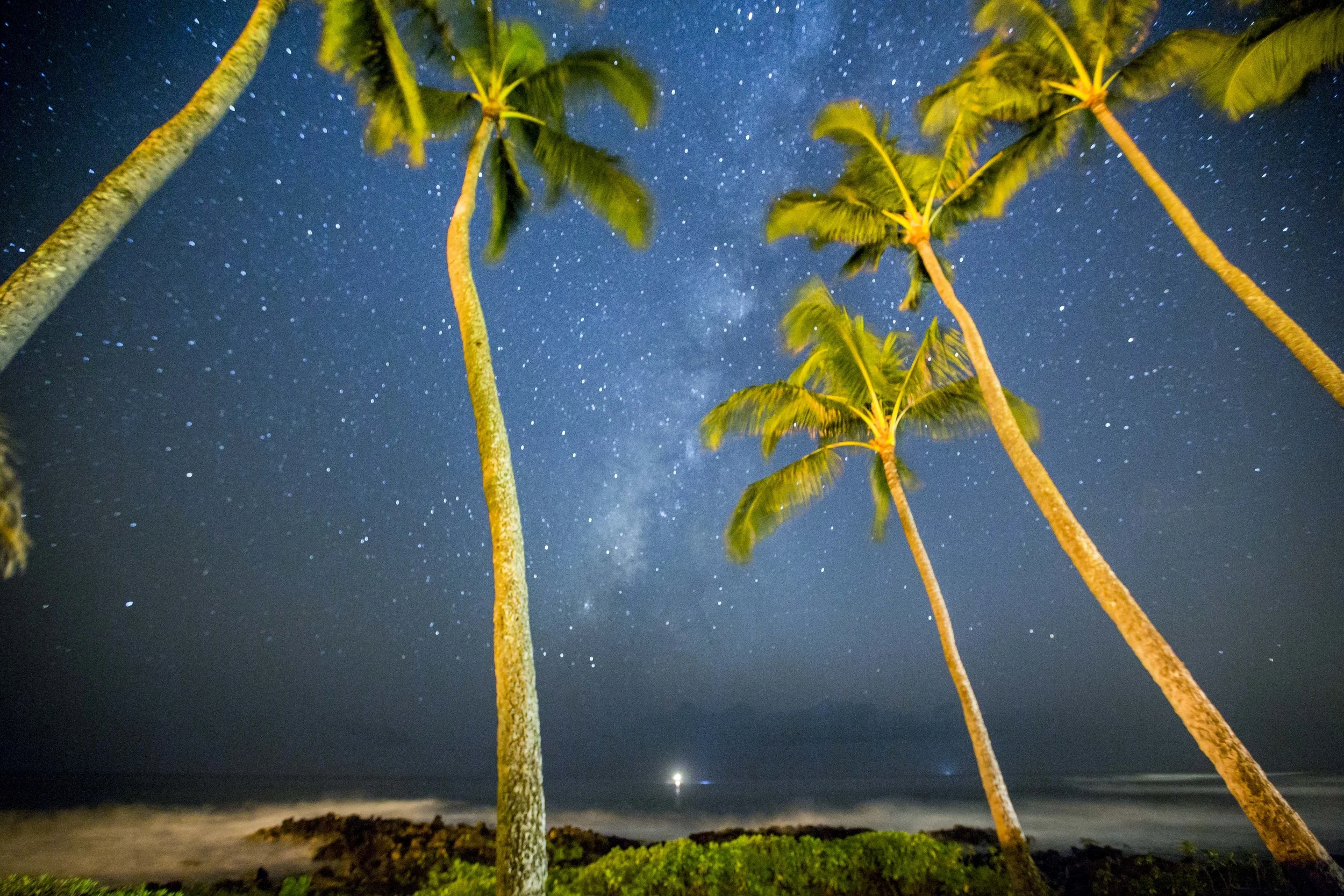 10-30-15-Kauai--047_1.jpg