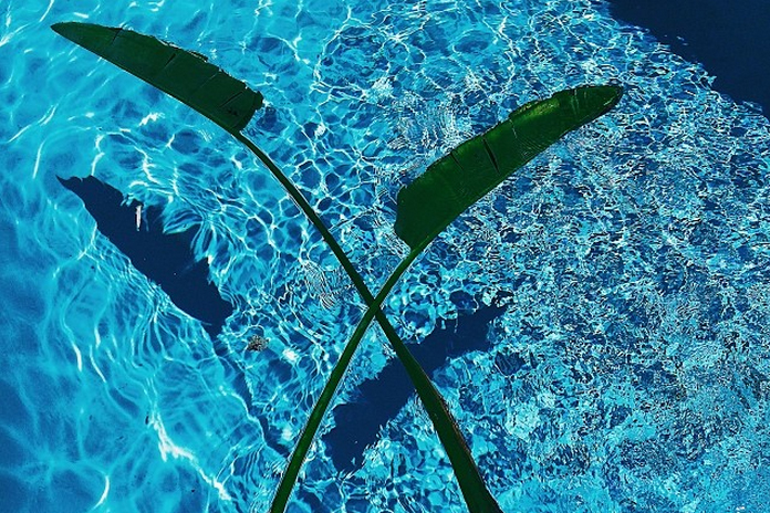 ali-beletic-tropical-pool.jpg