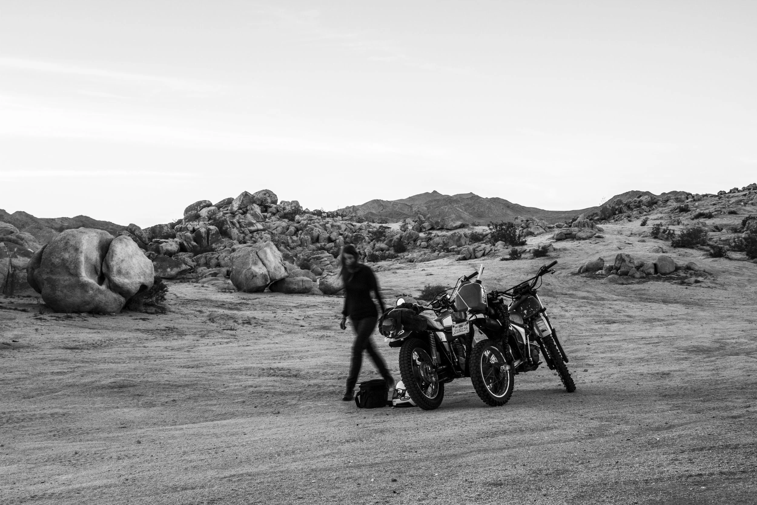 Ali Beletic - Horizon Parallel -2- Motorcycles.jpg