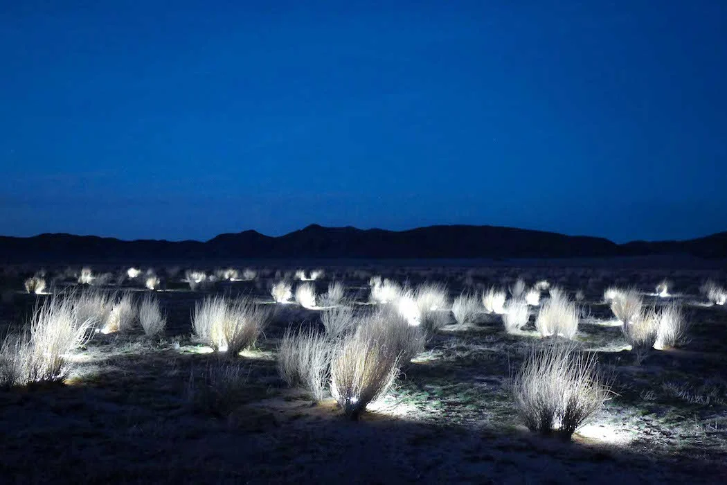 Oasis Light 1/4 Square Mile Light Sculpture installed into a dried rushes field that attendees were invited to meander through. The sculpture revealed itself as the sun set. Reflection in geography, as the sun sets creating an isolated area of vegetation in a desert, surrounded by the approaching darkness, hinting at mythology and an inner sense of calm and the imagination that happens in vast and dark open fields.