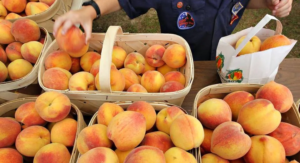 The State | Be There: Lexington County Peach Festival