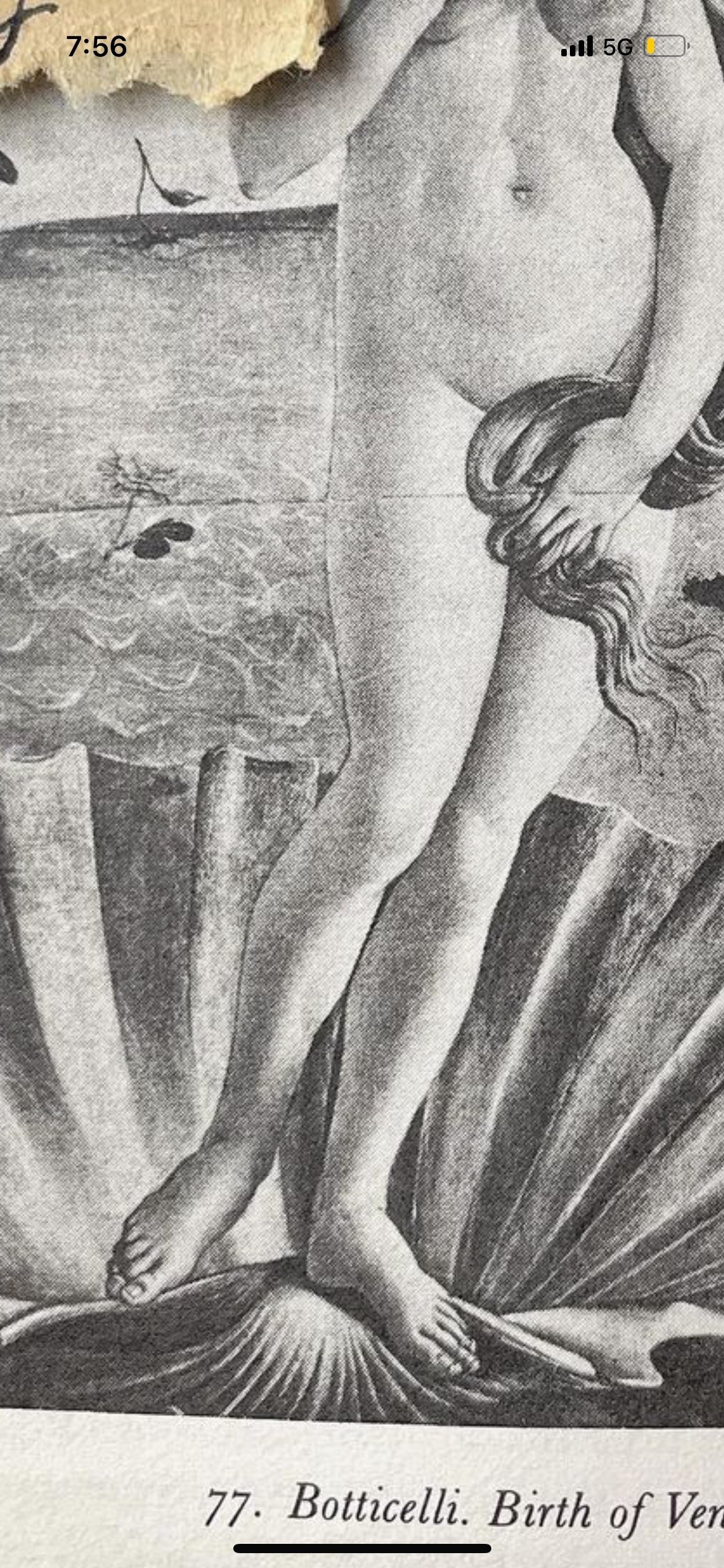 detail from Birth of Venus.  Botticelli, 1485 