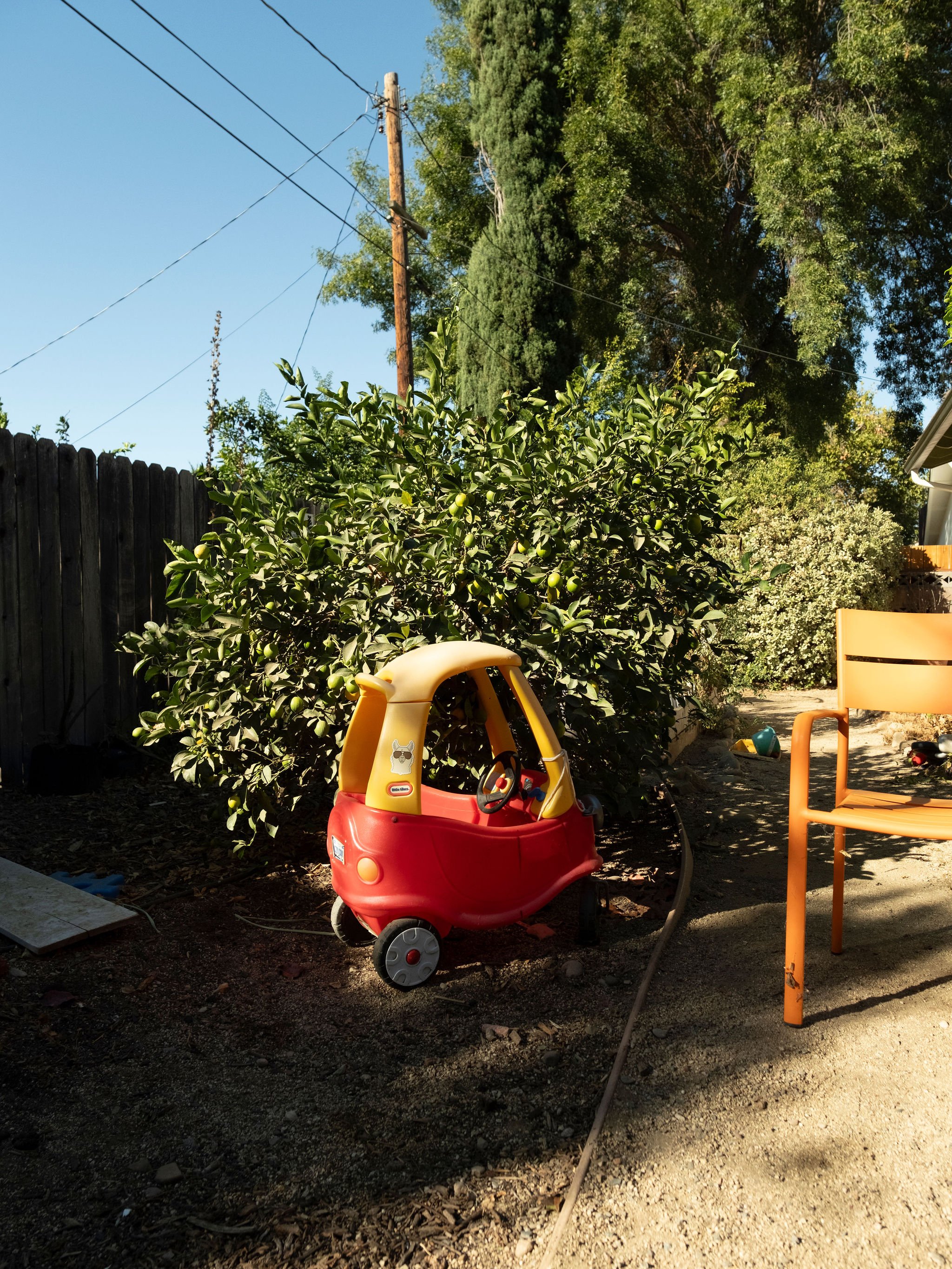 McKinnon_Family_AE_241025_006.jpg