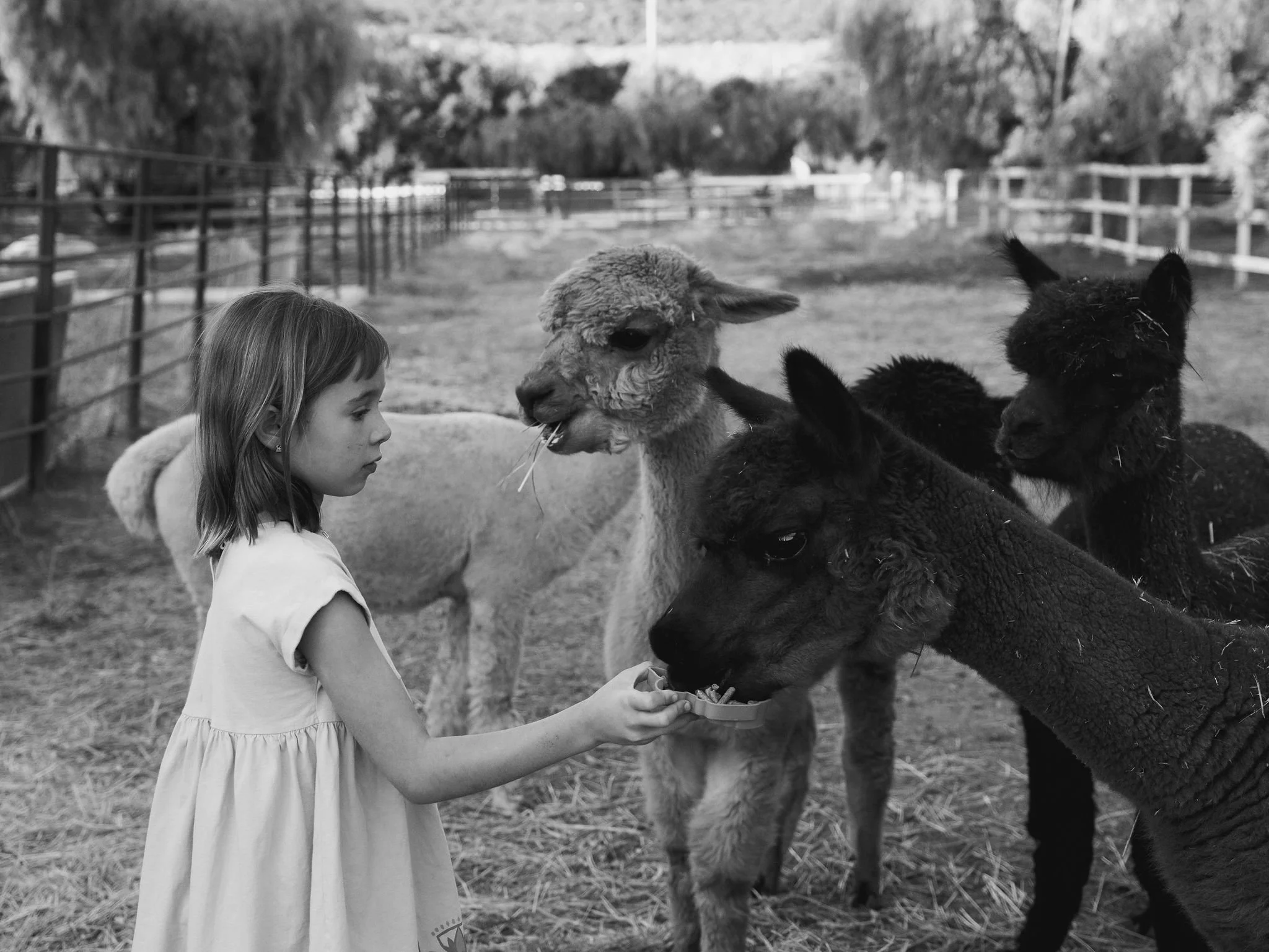 QUEEN_FAMILY_241201_EK_030_BW.jpg