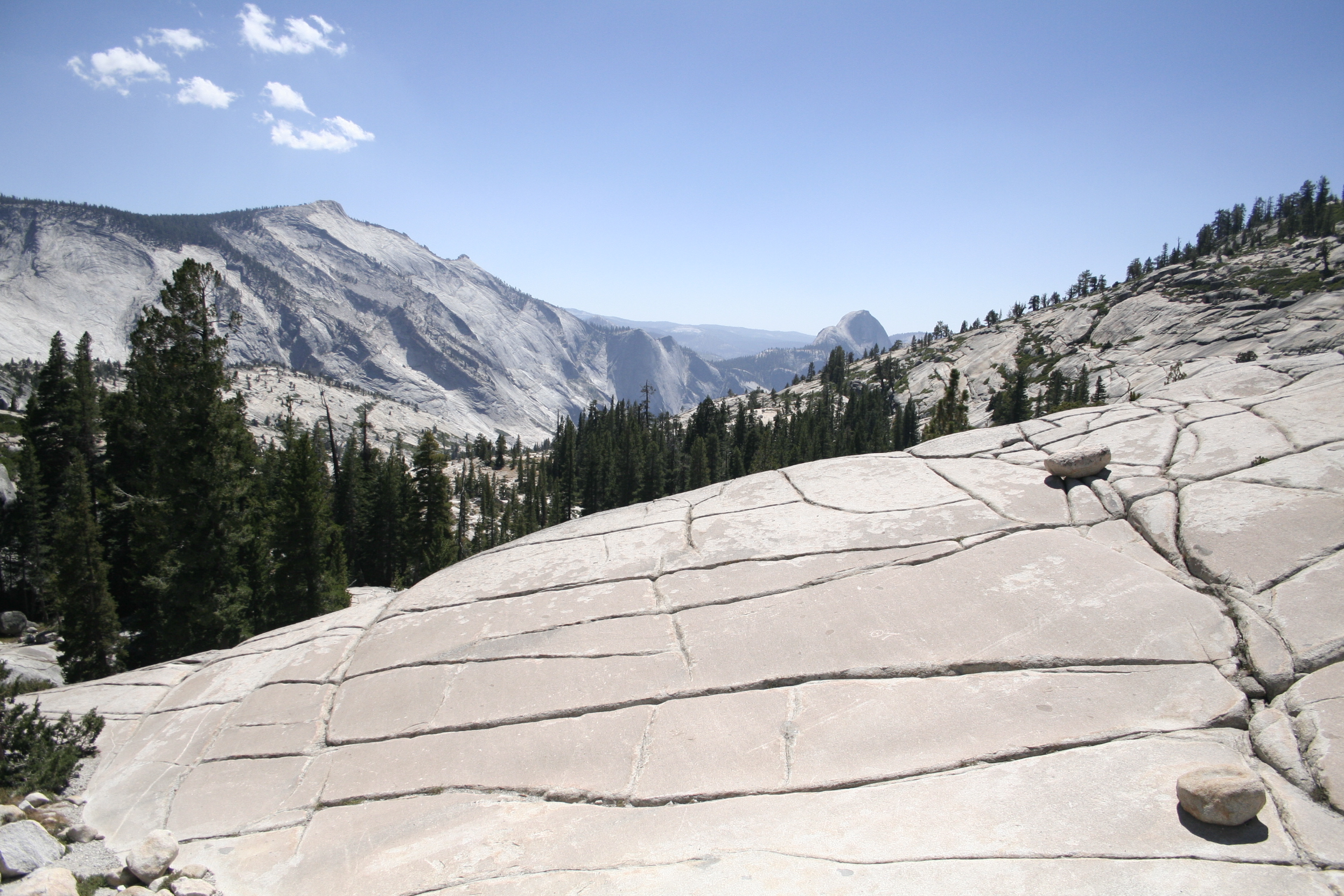 _MG_6014.JPG