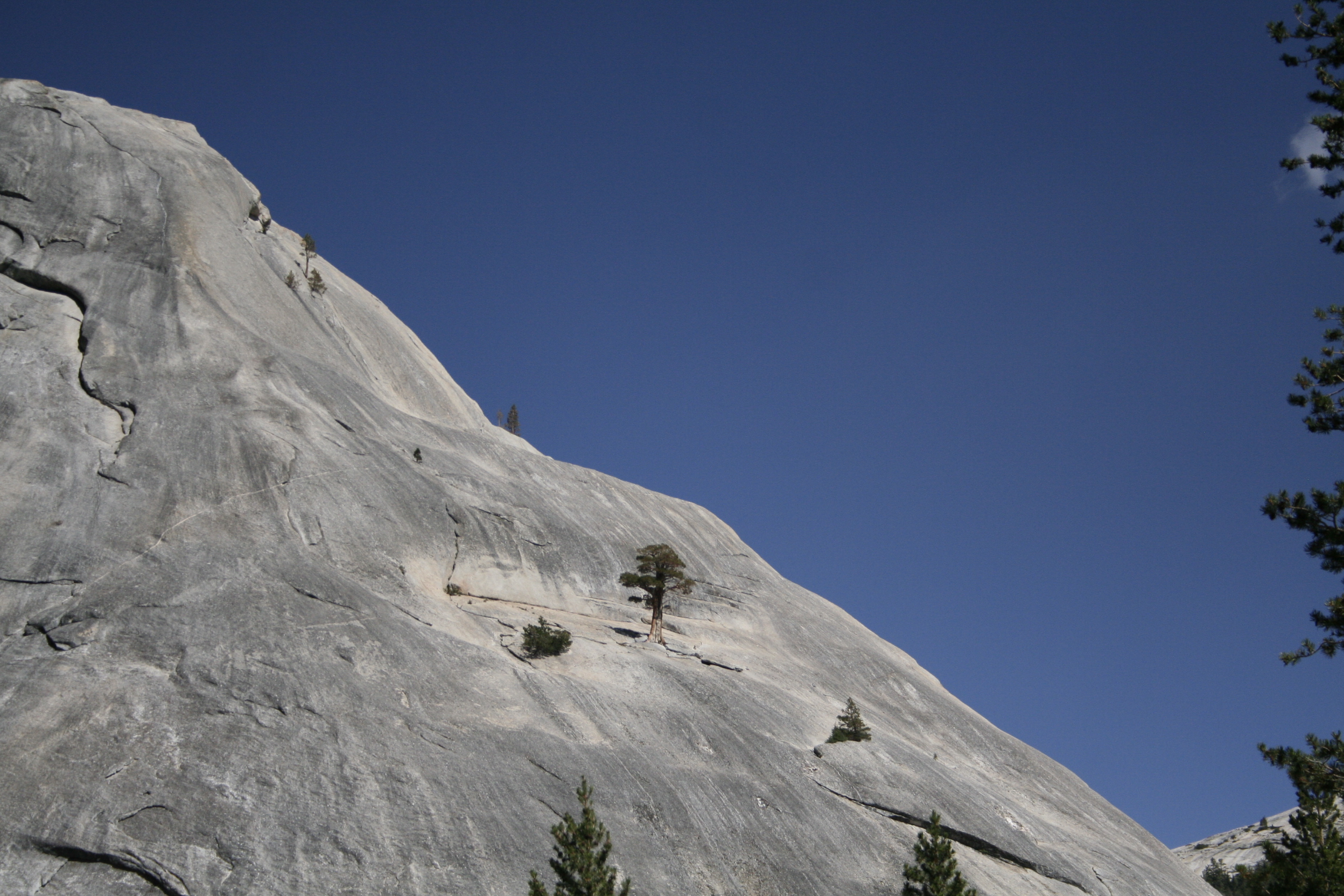 _MG_6024.JPG
