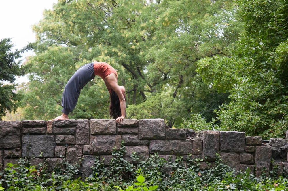 Urdvha Dhanurasana
