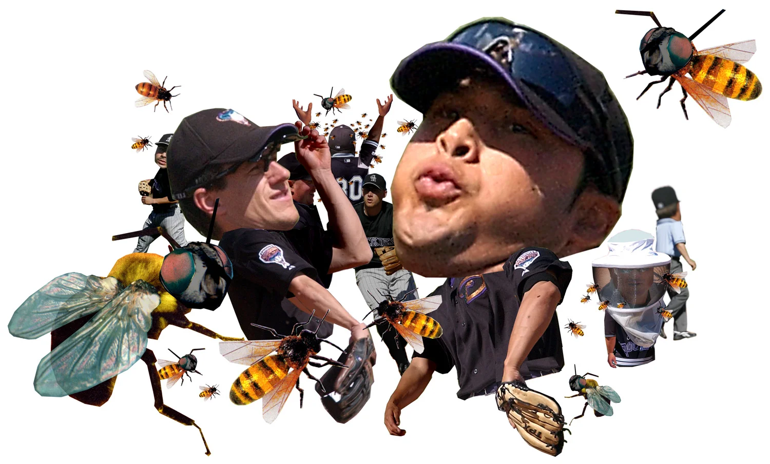 030801bees copy.jpg