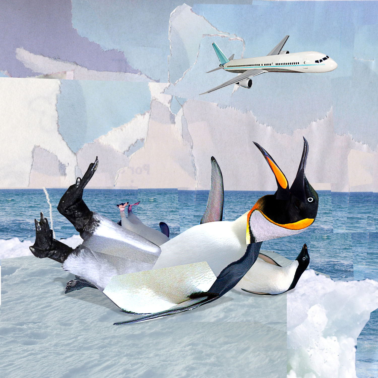 0012penguins copy.jpg