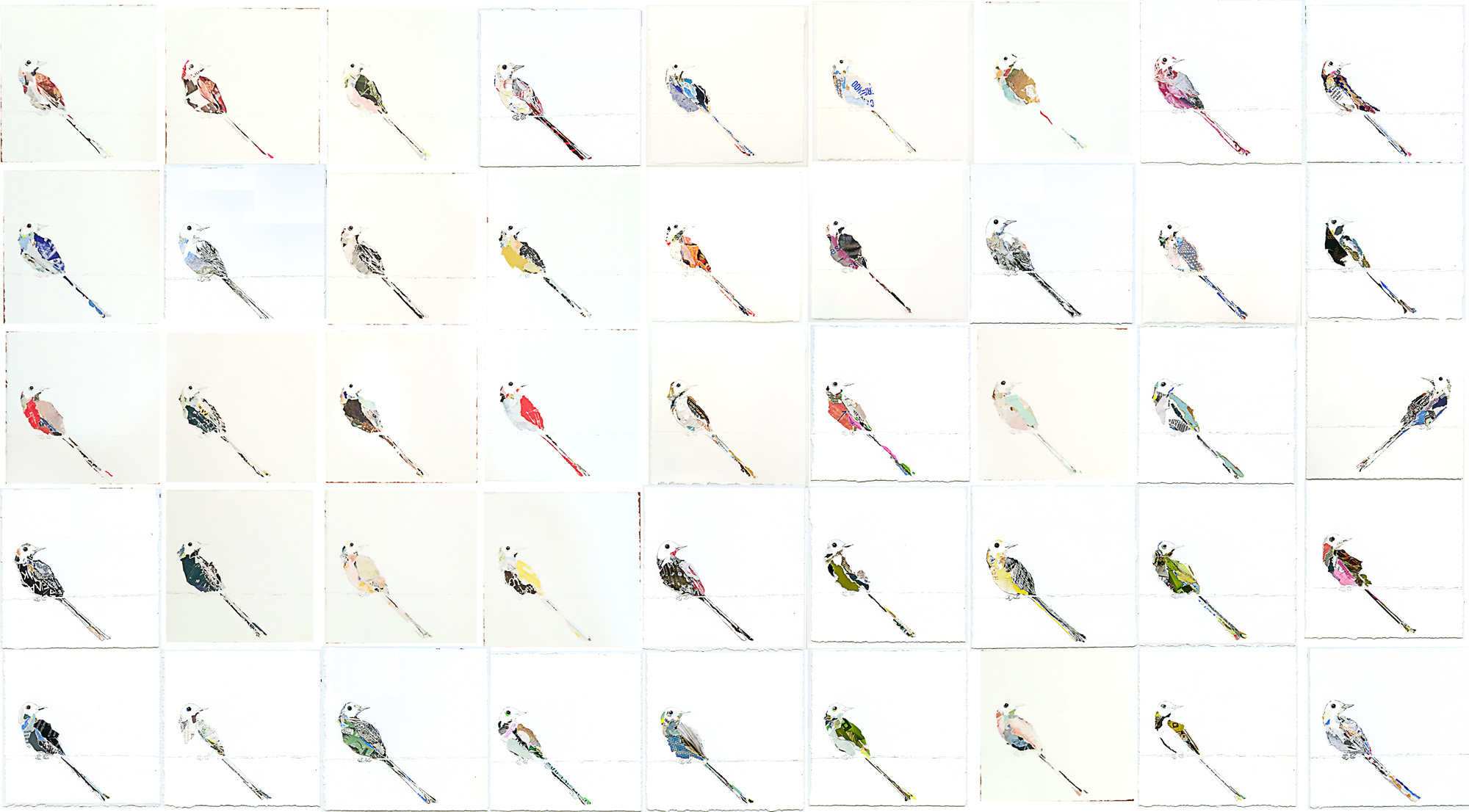 45flycatchers.jpg