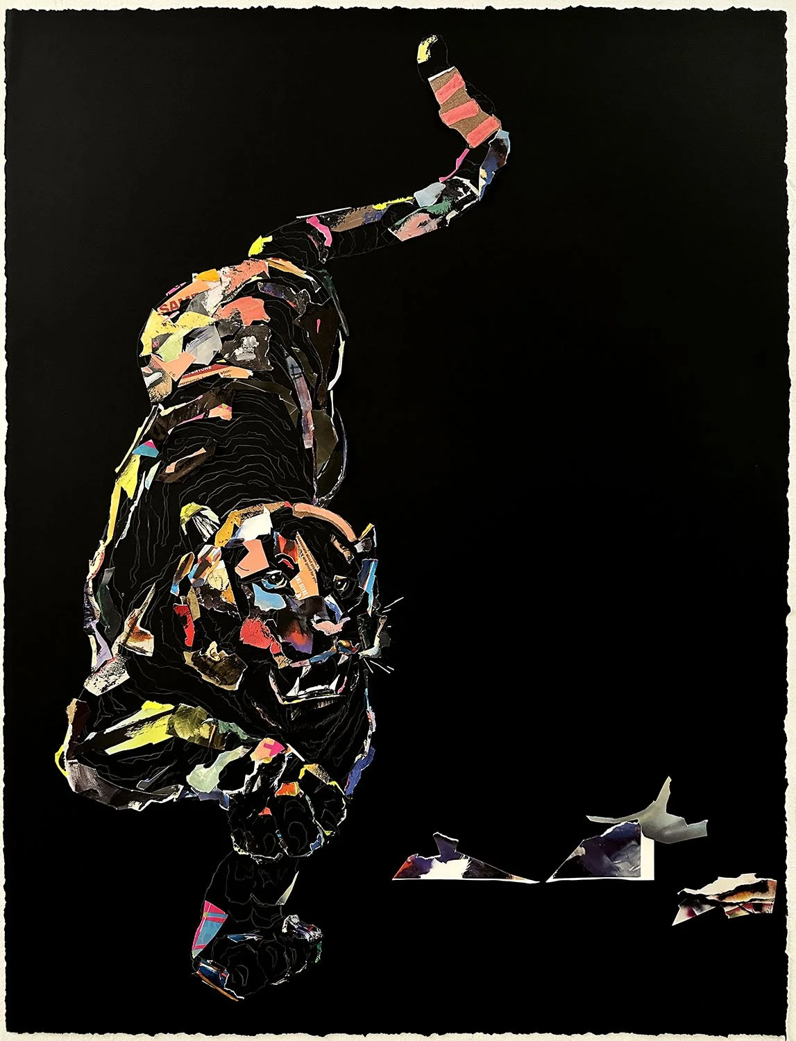 “Tiger study 2”  2024  collage on black printmaking paper  22”x30” 