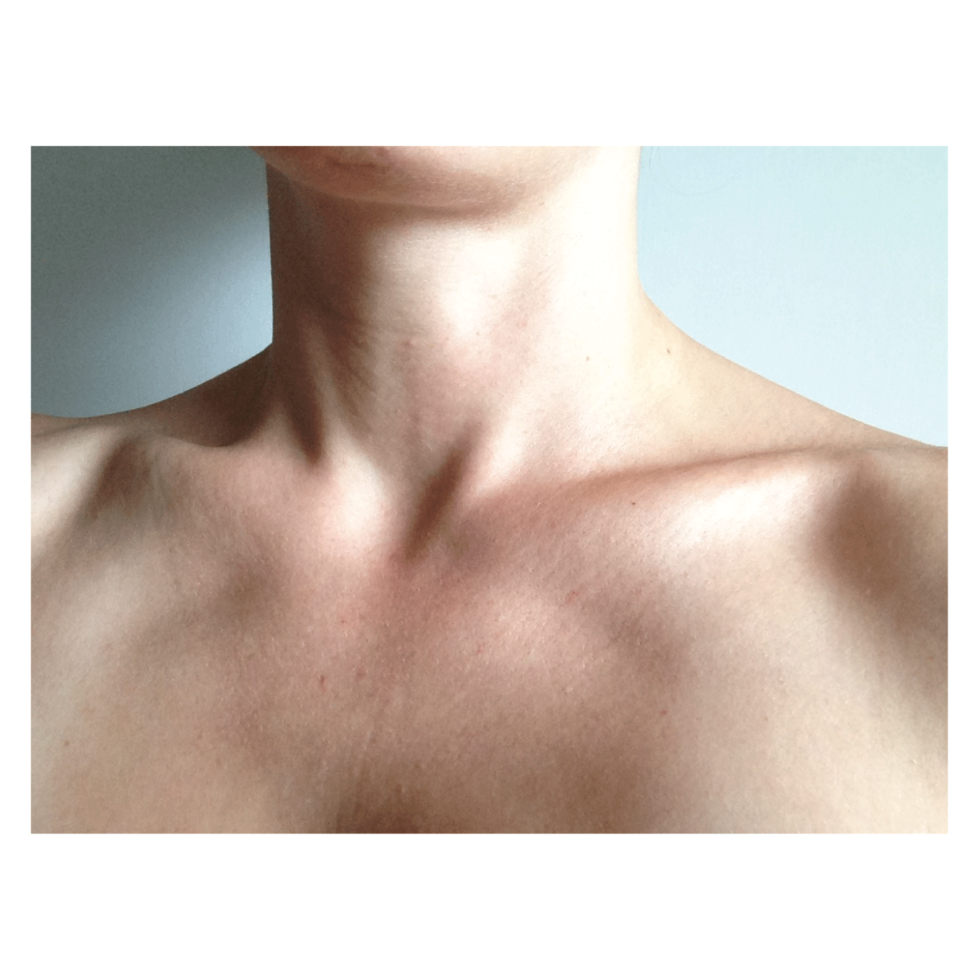 cover-for-web.gif