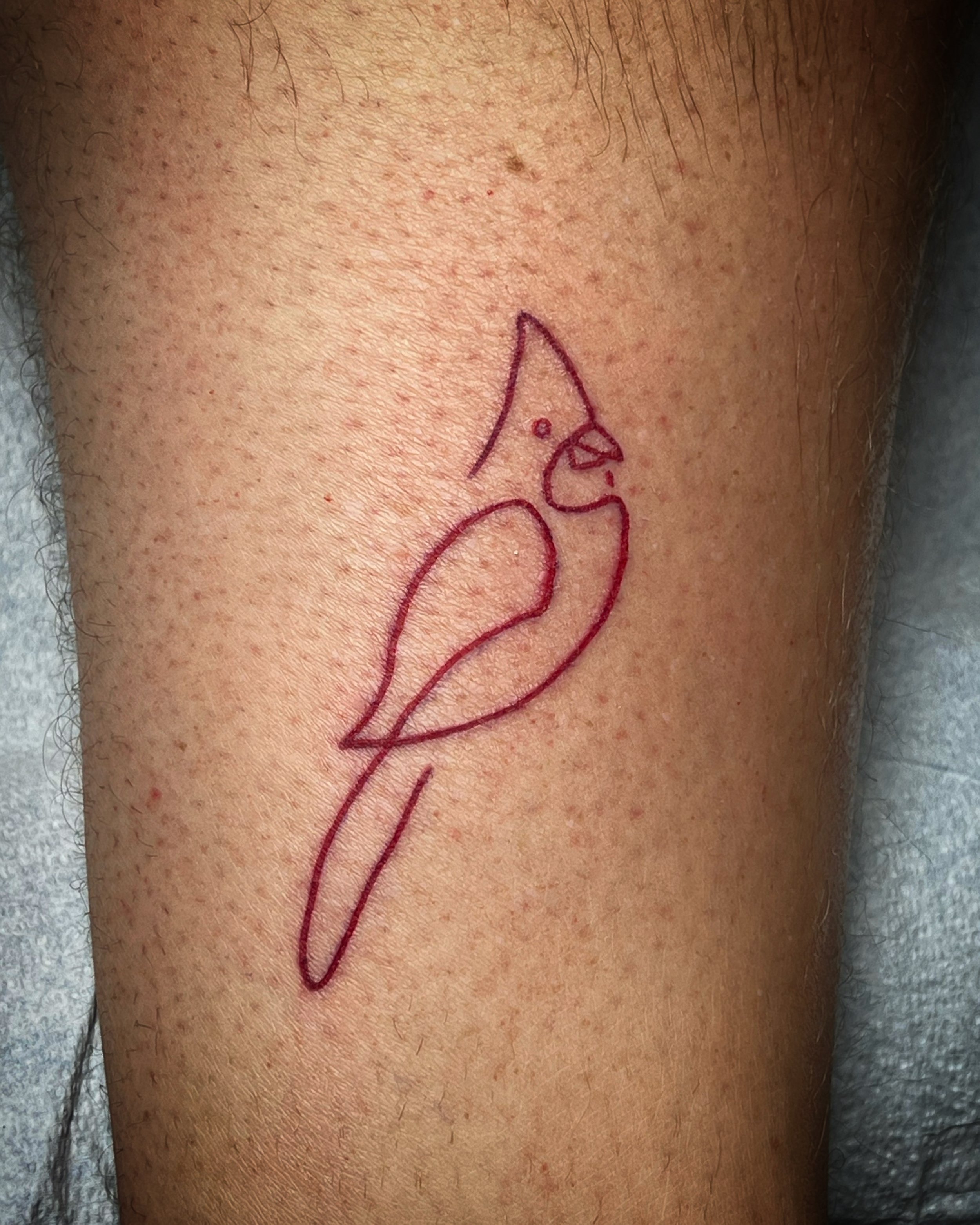 Minimalist cardinal tattoo on the shoulder
