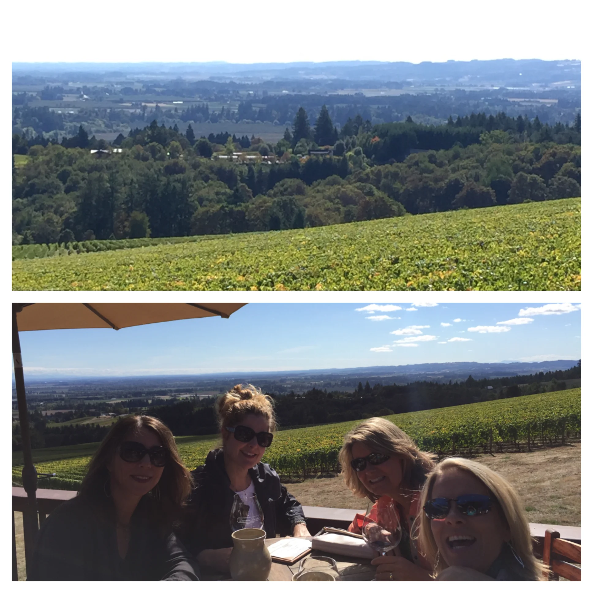 Domaine Drouhin ; "French soul in the Oregon soil."