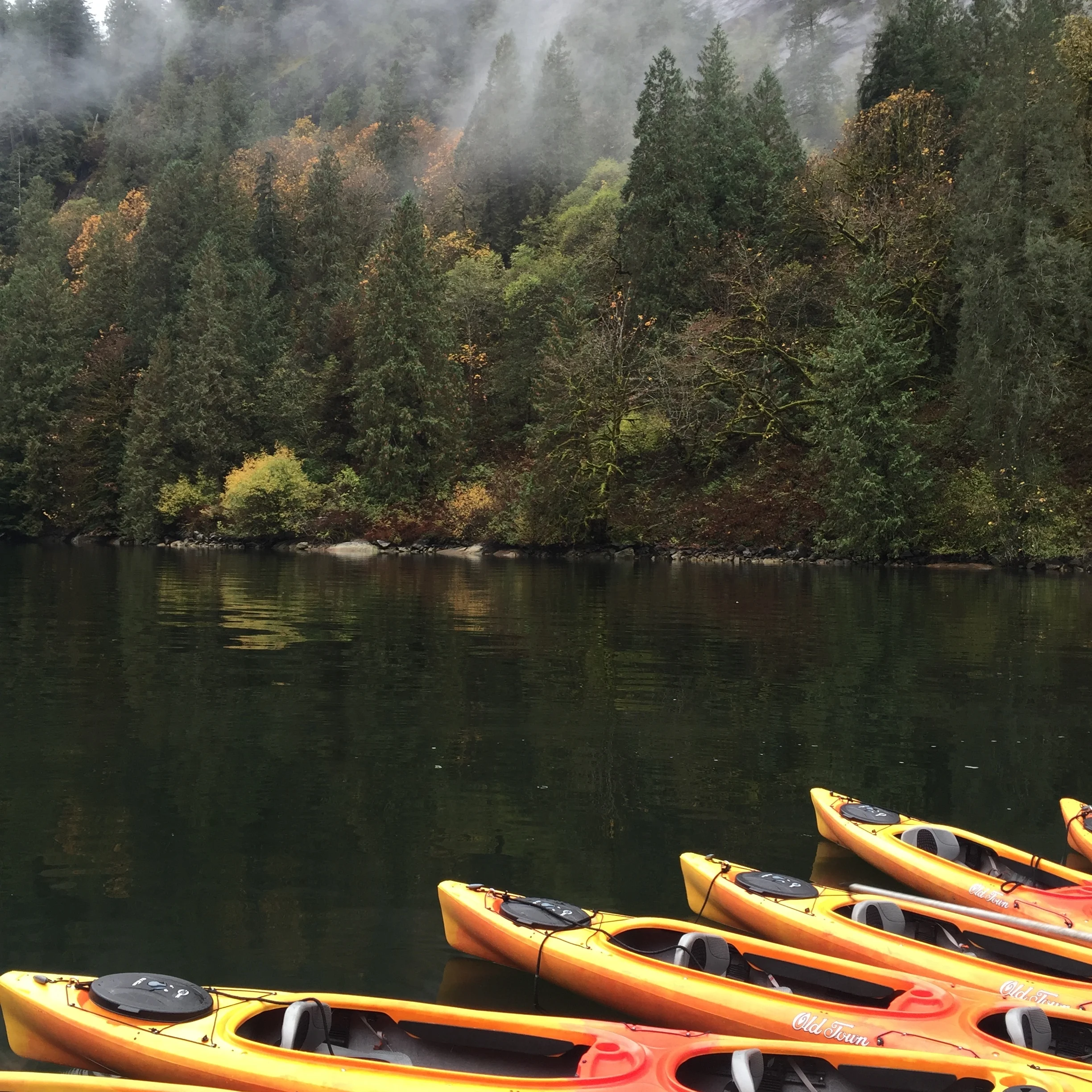 During remote anchorages, we paddled off in kayaks and toured in skiffs. Our Expedition Leader, Pam, schooled us about shelf fungus, bull kelp, cedar and hemlock trees, and herring.