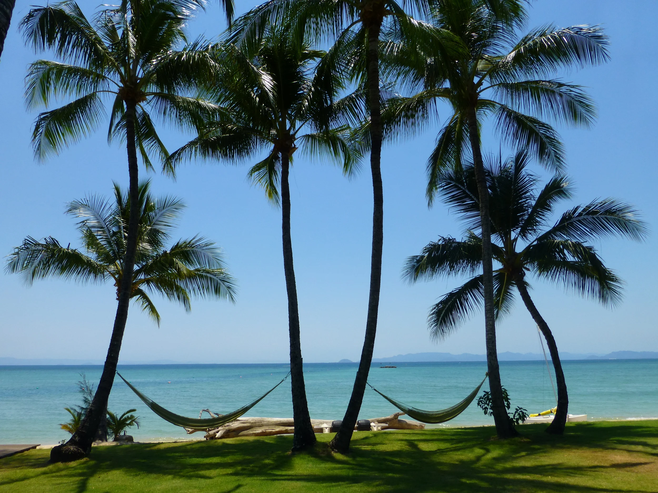 Orpheus Island (photo credit Pedro O'connor )