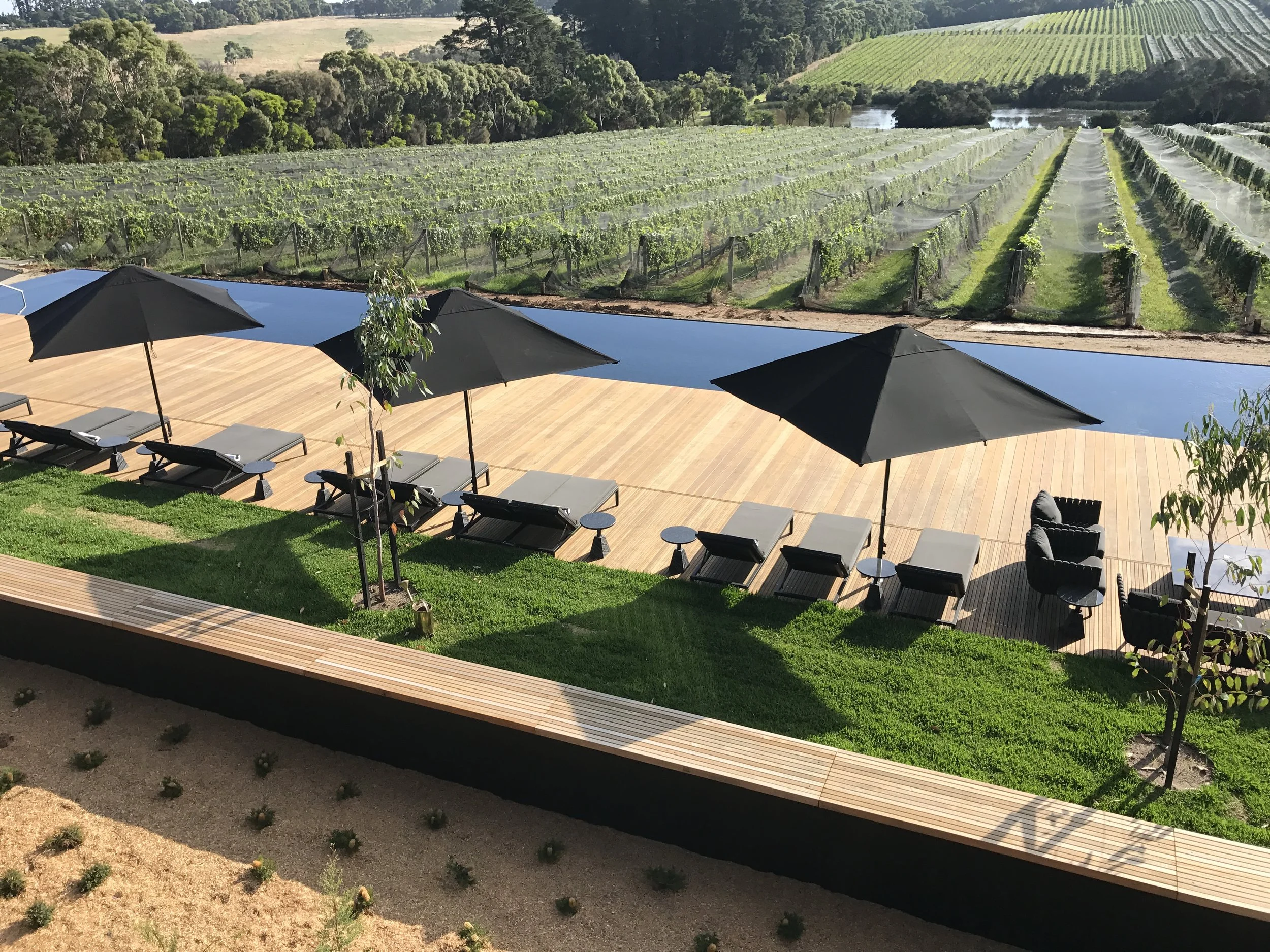 Jackalope : The Mornington Peninsula 's new boutique luxury art hotel. A destination showcase, with serious design cred, in Victoria's coastal wine region.