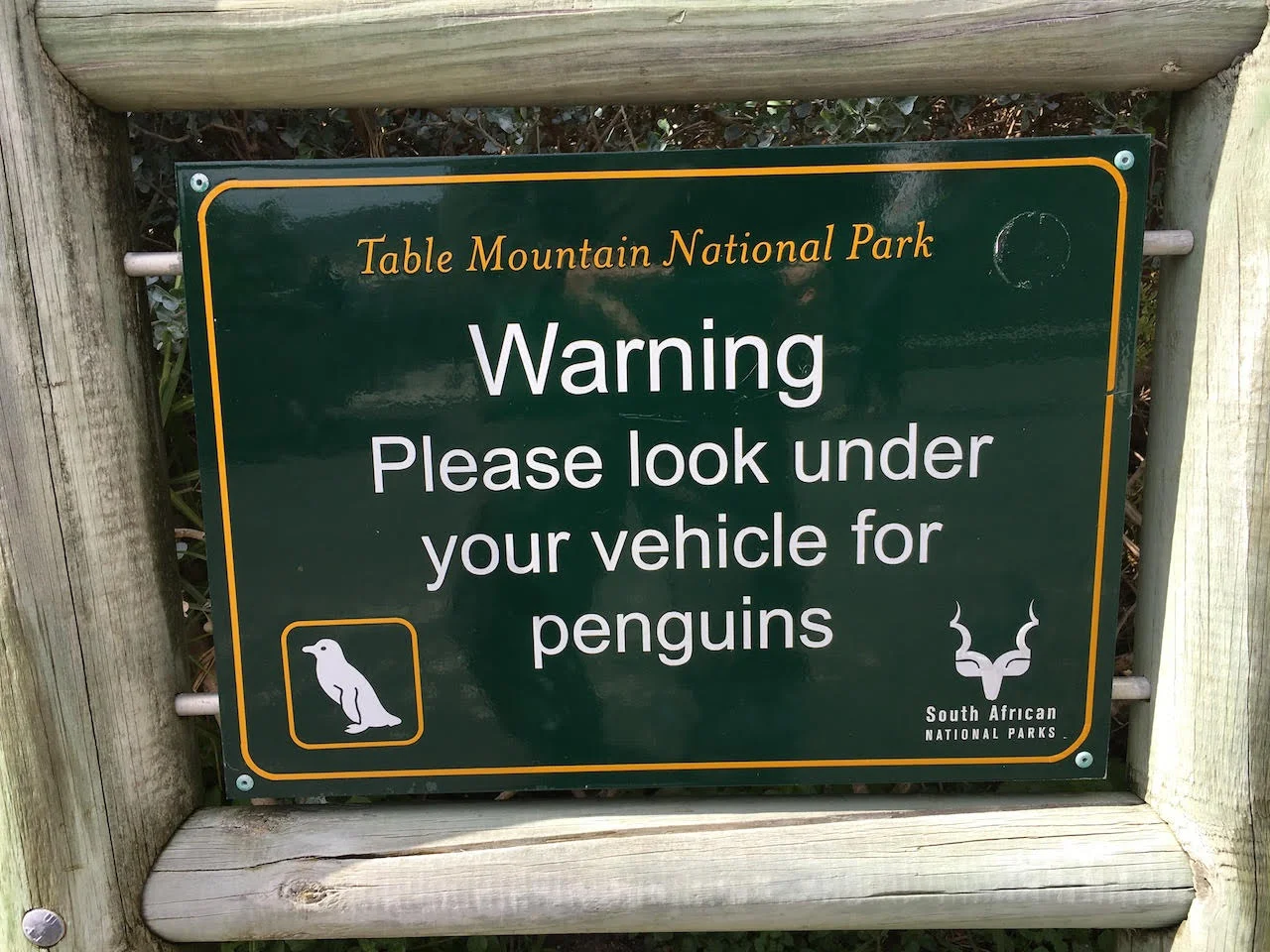 Photo Credit: Gavin Ford of Africa Inscribed
