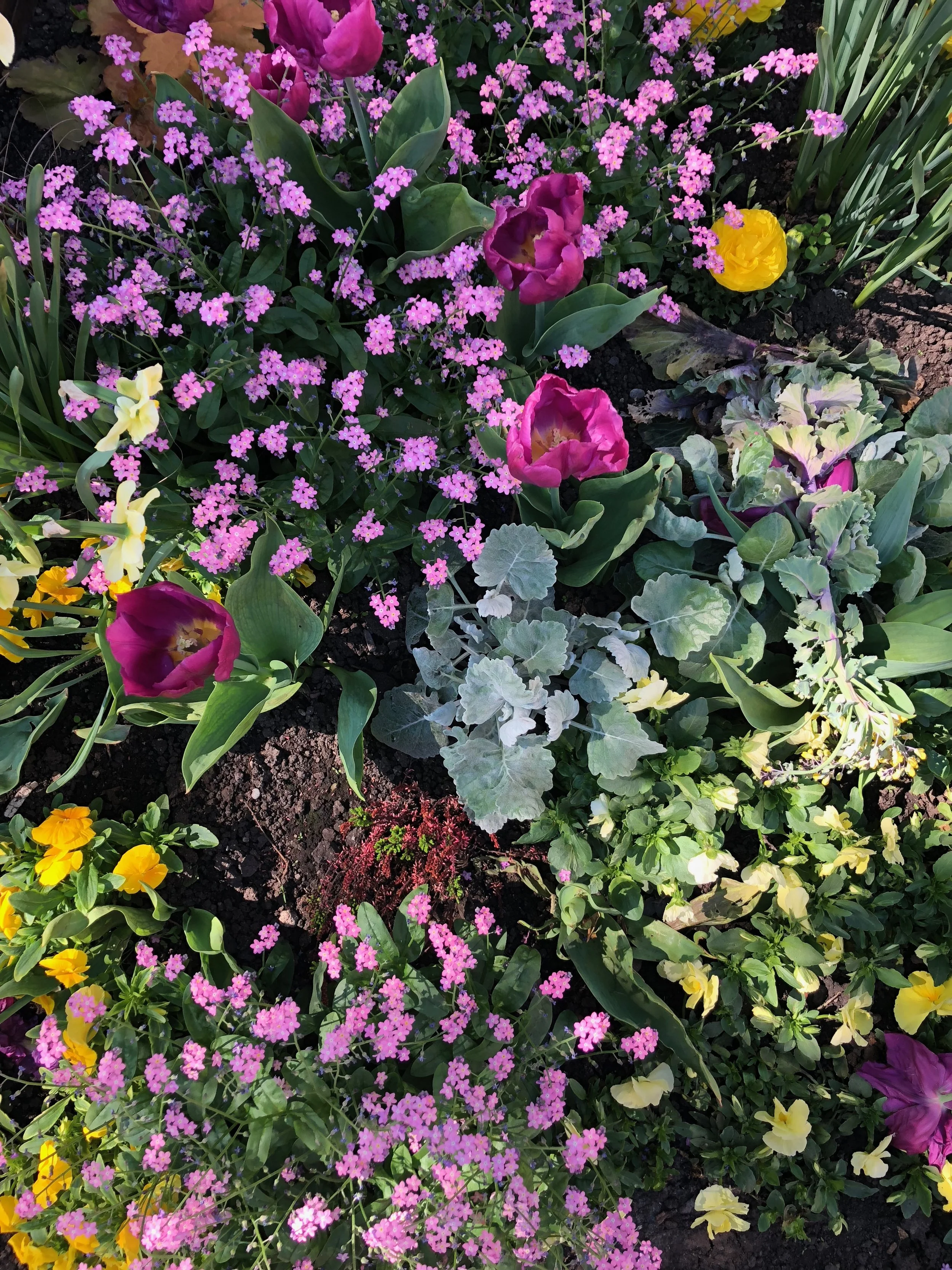 April and May in Europe are quite lovely; flowers everywhere! We were fortunate to have glorious sunny and warm days.