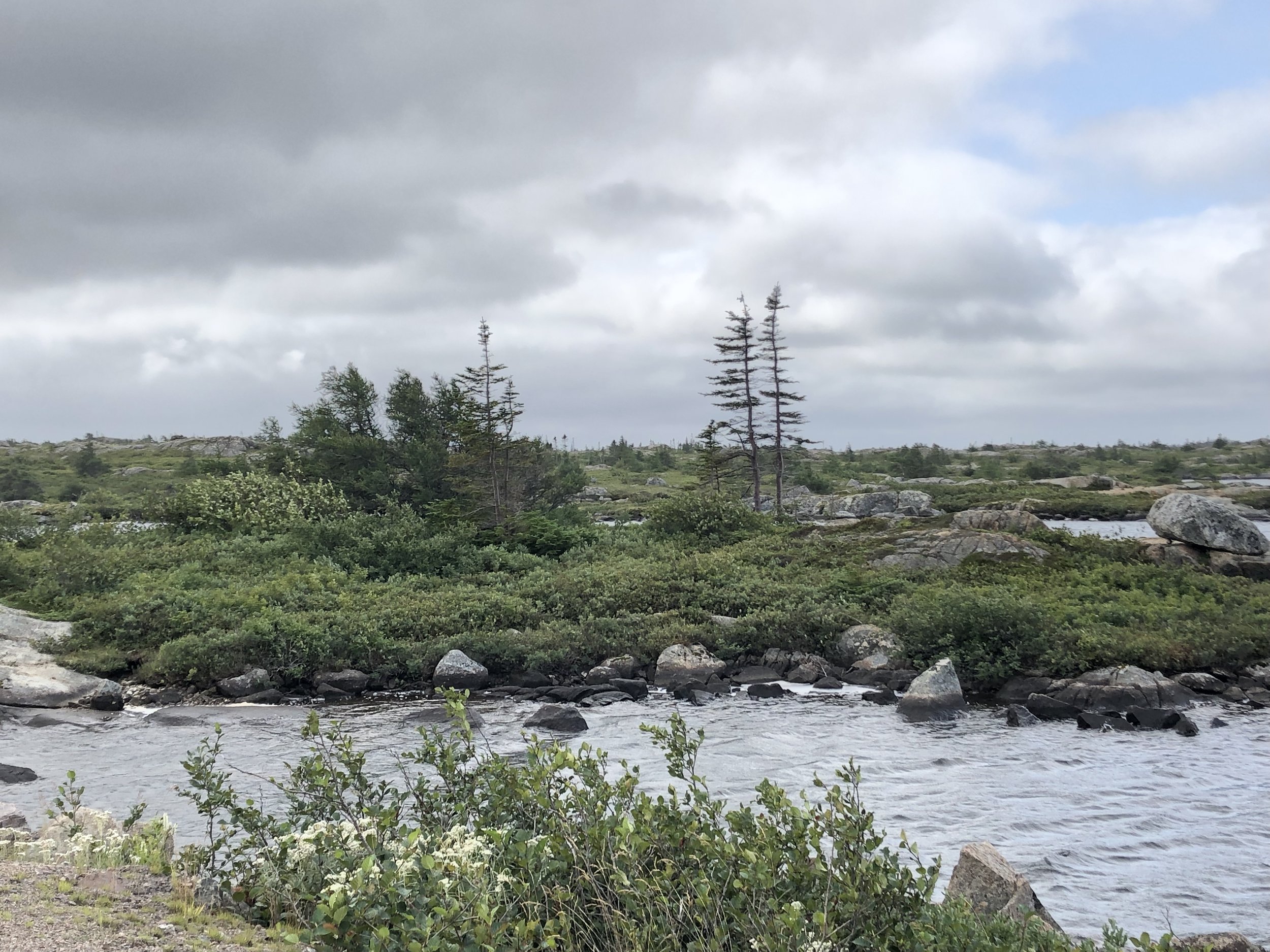 2019-08-24 11.43.34.jpg