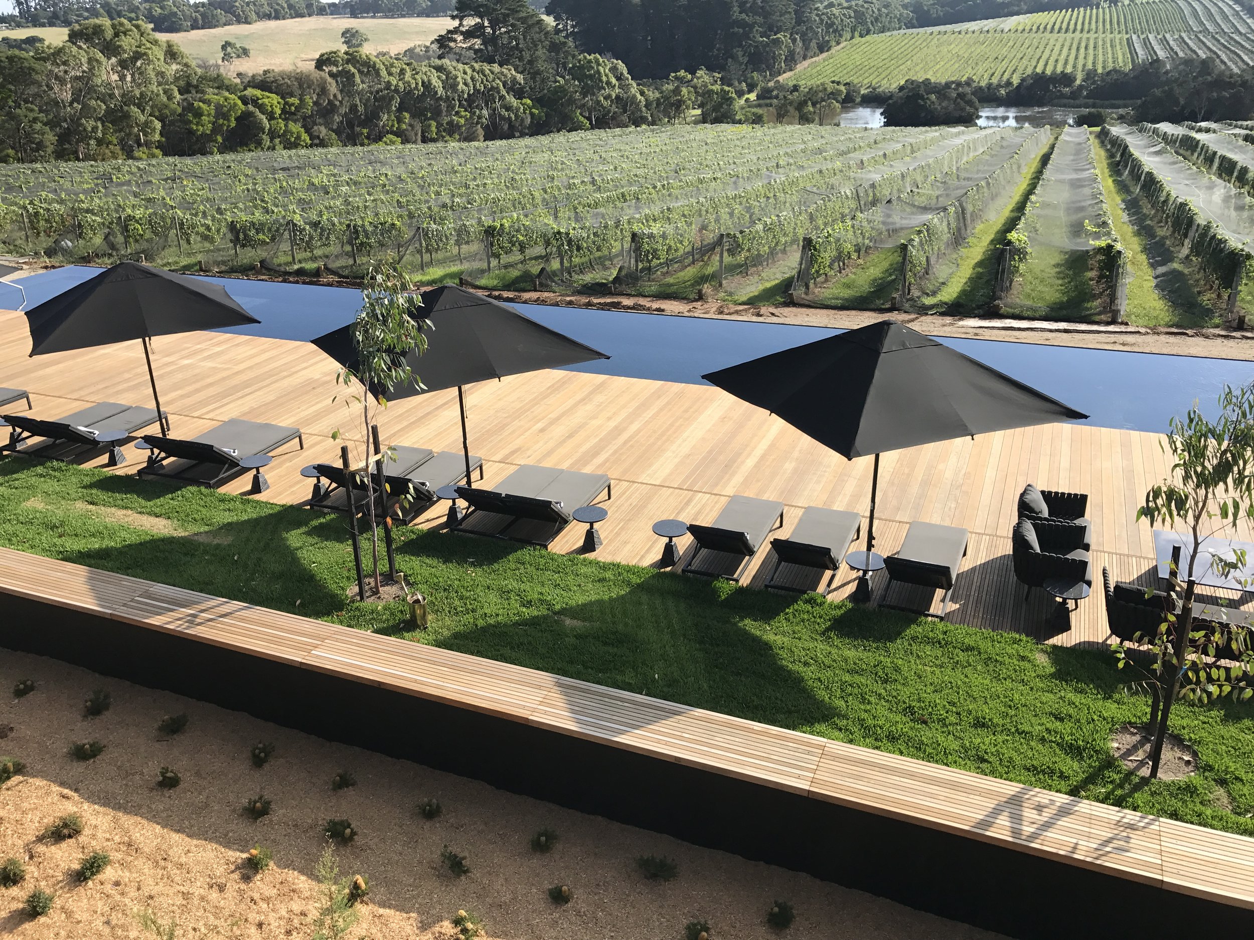 And exploring beautiful vineyards!