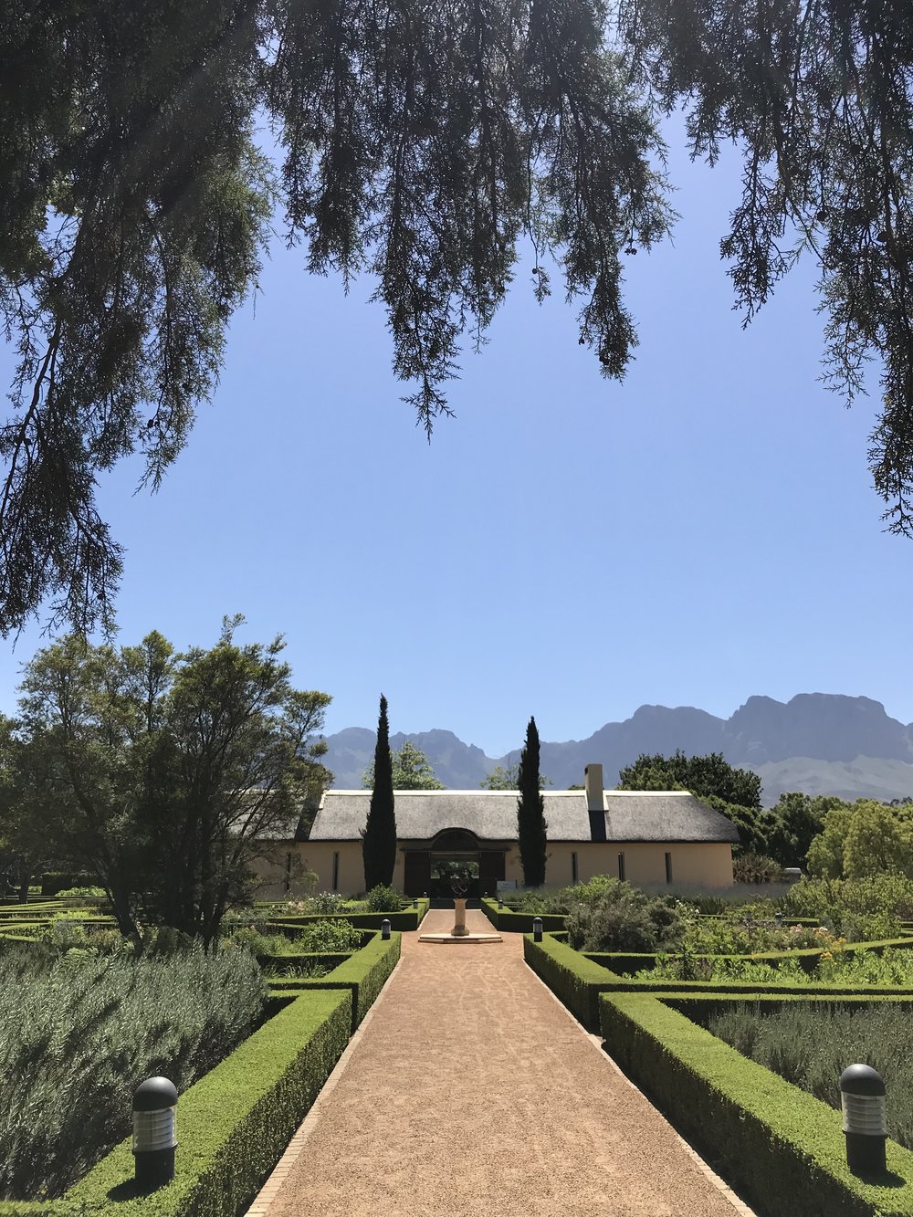 Explore South Africa's wine country