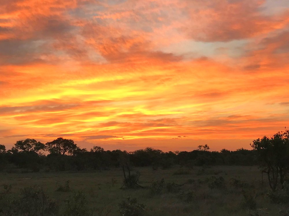 African Sunsets