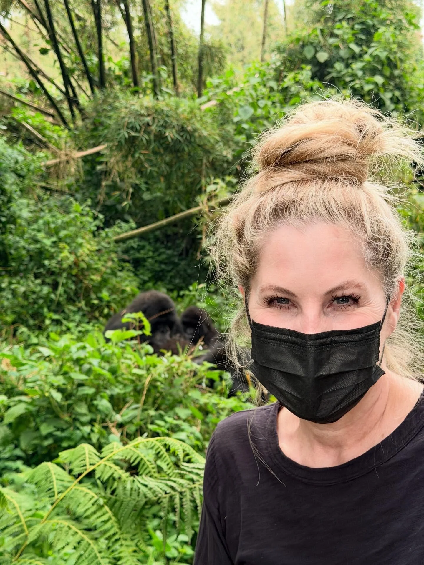 🦍 Still thinking about the quiet power of standing a few feet from mountain gorillas in the forests of Rwanda. Nothing prepares you for that moment. It&rsquo;s humbling, moving, and stays with you long after you&rsquo;ve left the mist and the bamboo