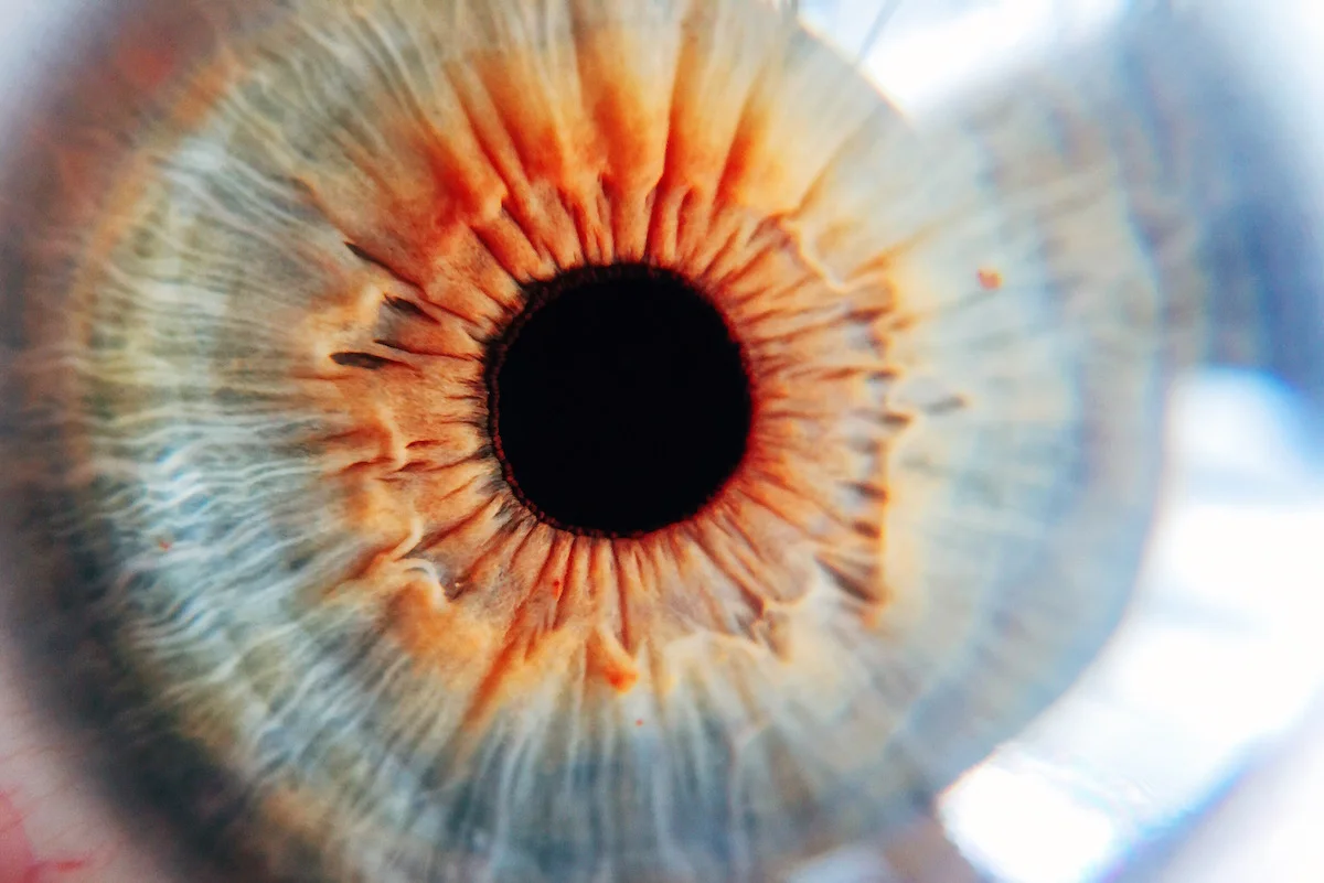 12 Macro Photos You Won't Believe Were Shot On An iPhone