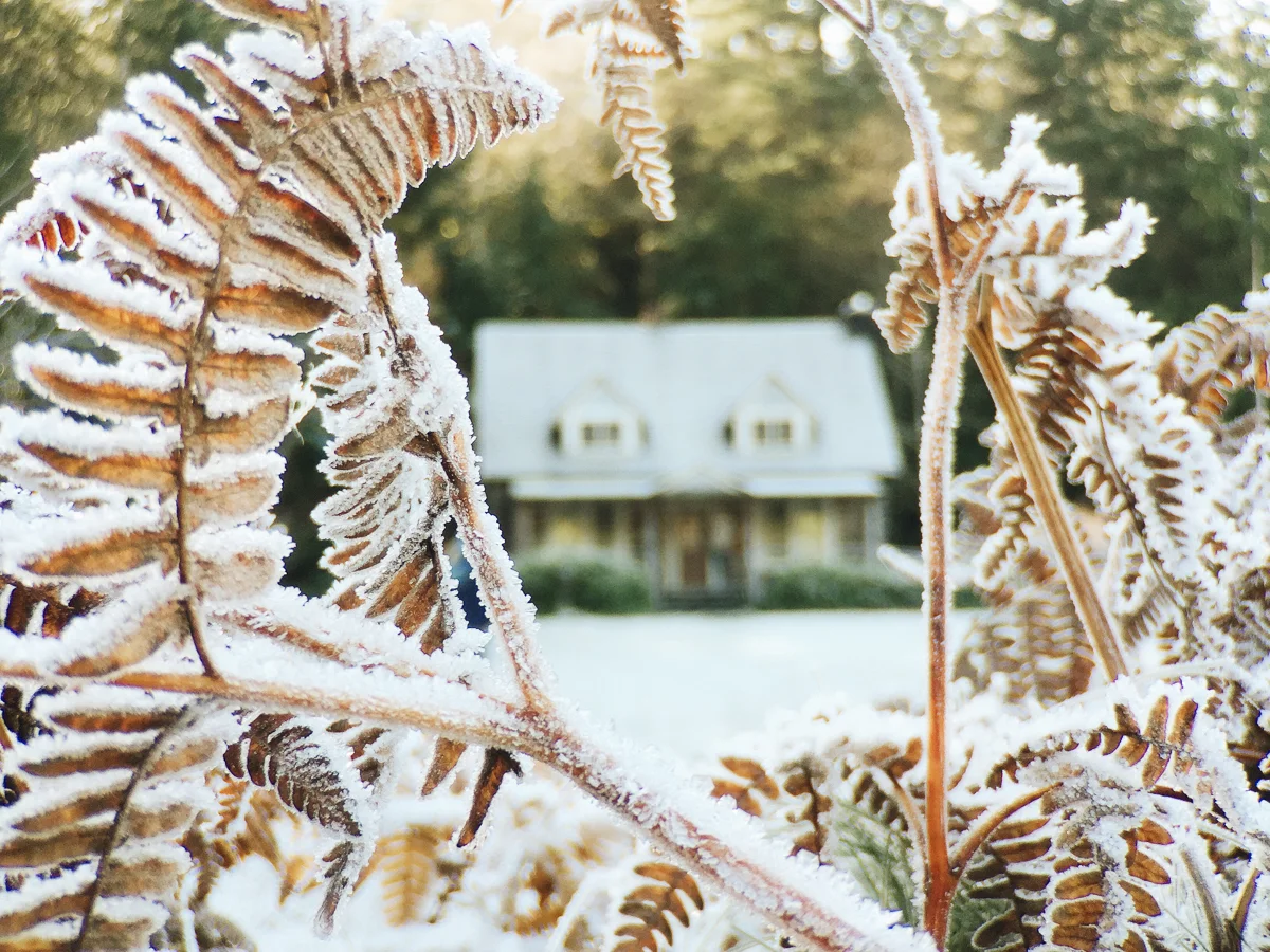 5 Tips For Editing In VSCO