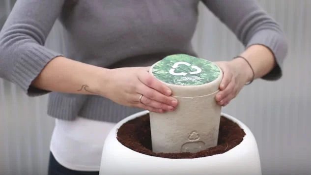 The World’s First Biodegradable Urn Lets You Turn Ashes Into a Tree