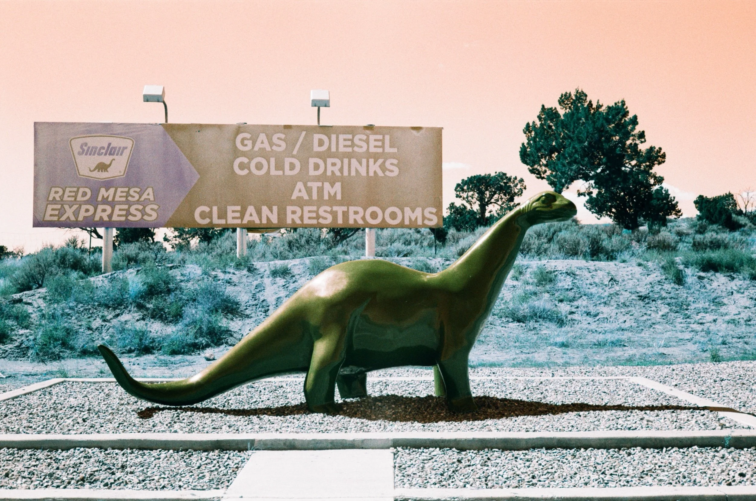 Sinclair Dinosaur, Nageezi, 2023