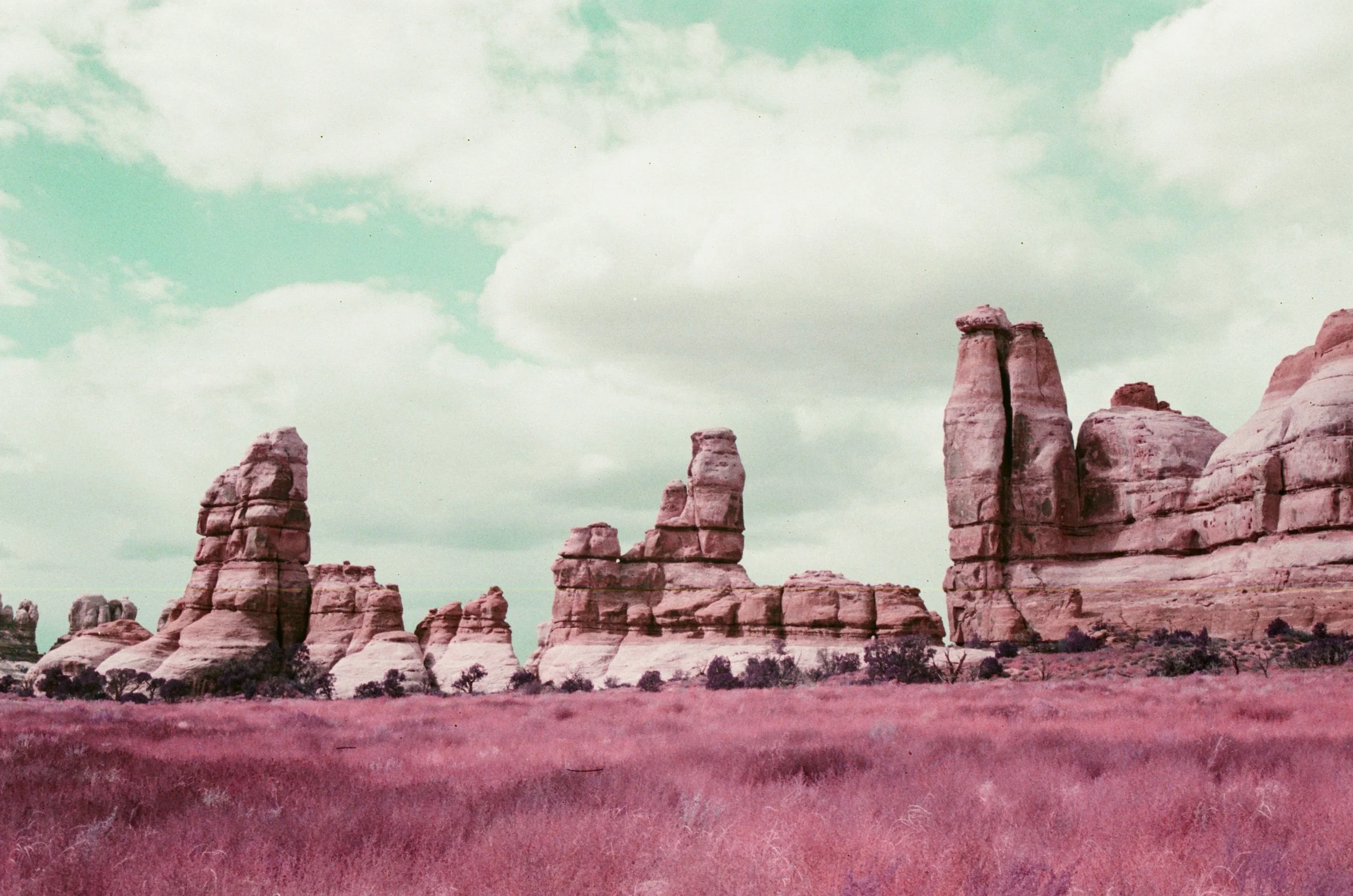 Chesler Park Gods, 2023