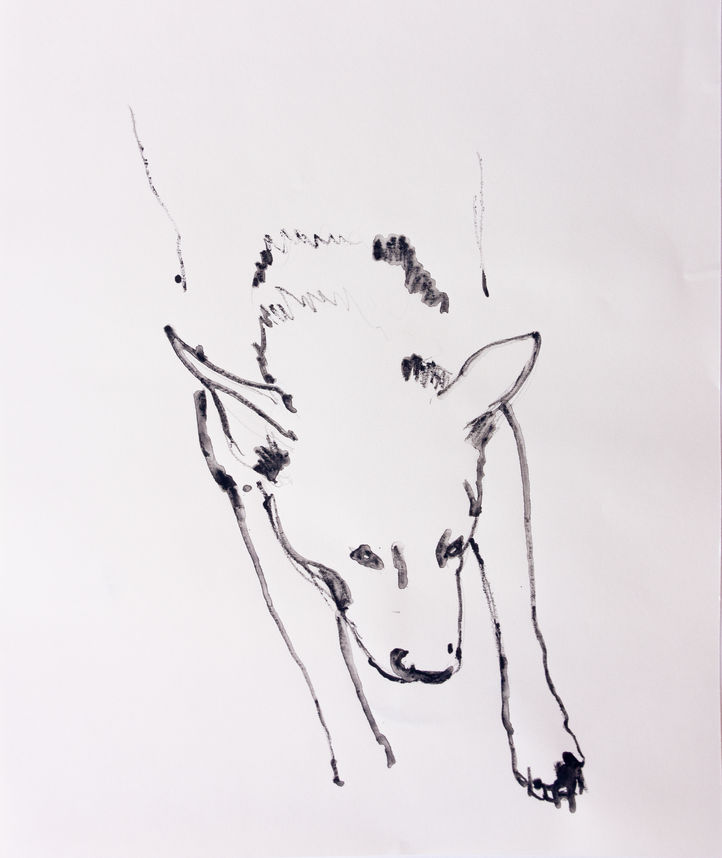 Volly Last Day #1, 2023