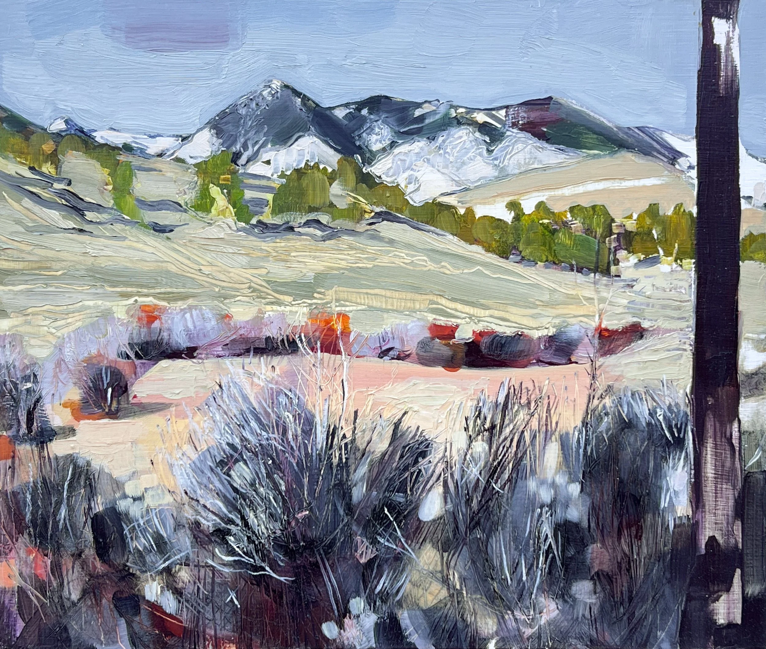 Nevada Creek View from The Daniels Place