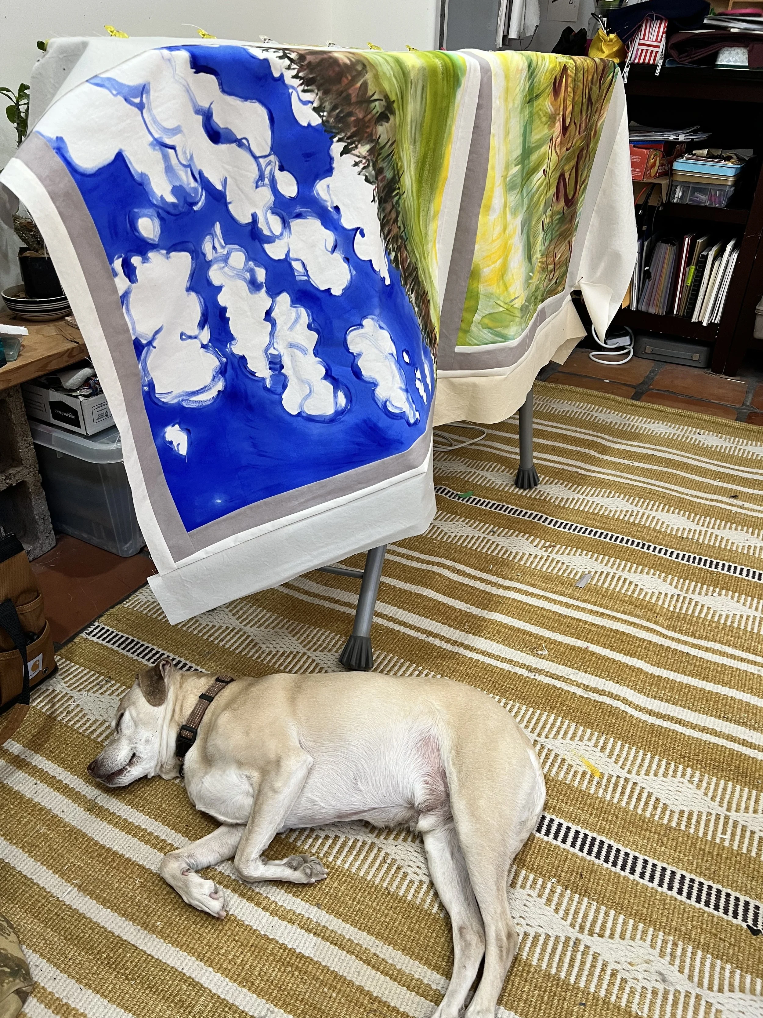 Dog nap stage