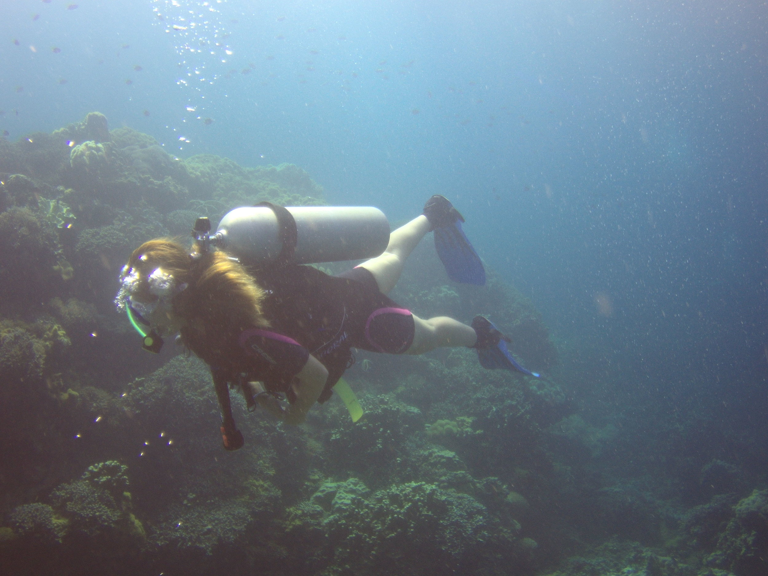 AMBA1071.jpg