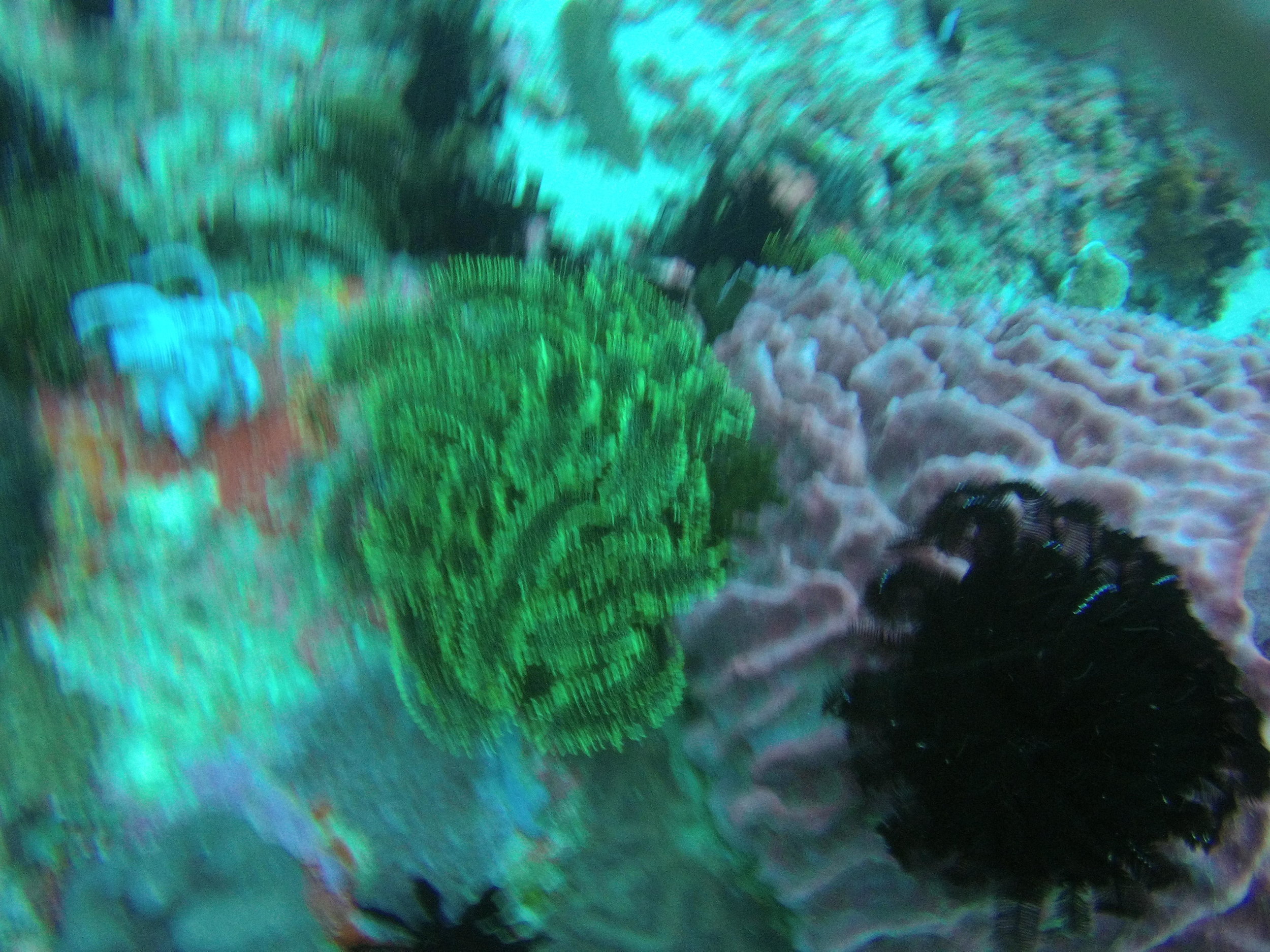 AMBA0029.jpg